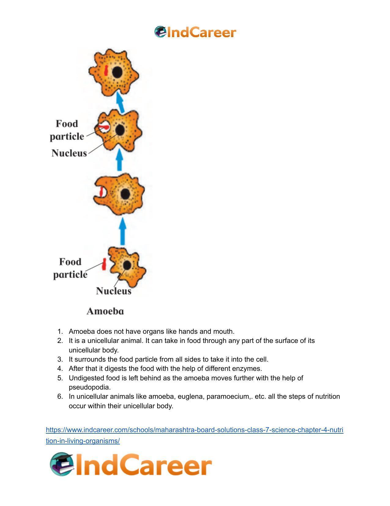 Maharashtra Board Solutions Class 7-Science: Chapter 4- Nutrition in Living Organisms - Page 22