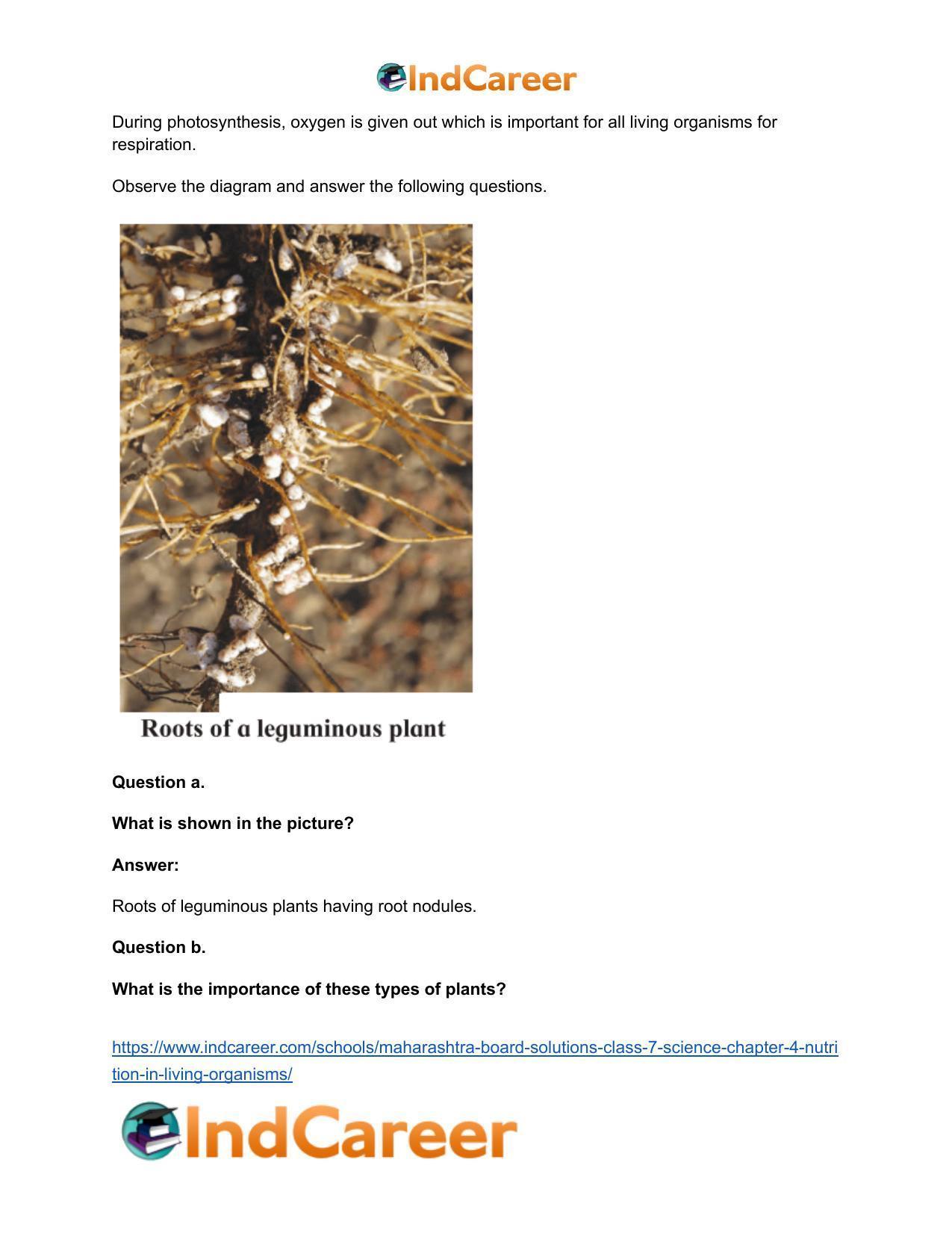 Maharashtra Board Solutions Class 7-Science: Chapter 4- Nutrition in Living Organisms - Page 26