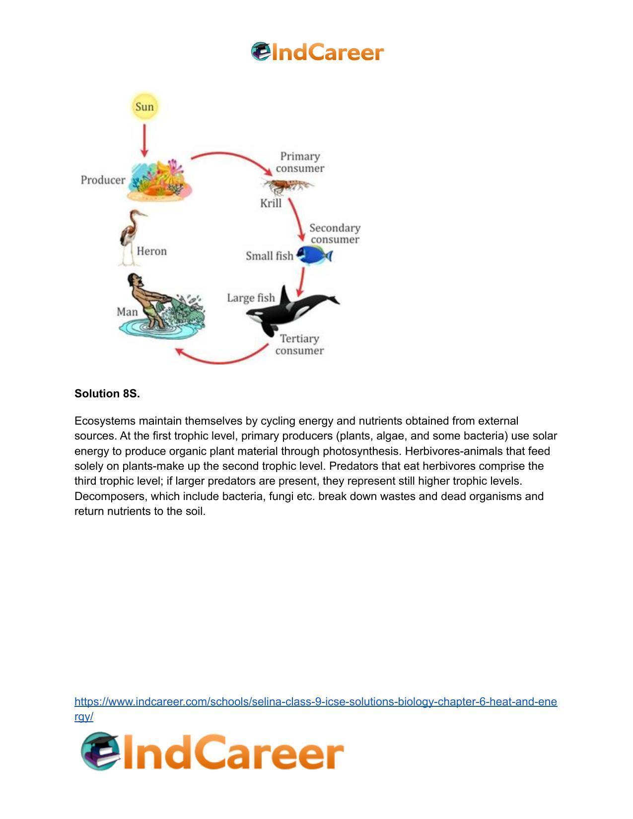 Selina Class 9 ICSE Solutions Biology : Chapter 6- Heat and Energy - Page 10