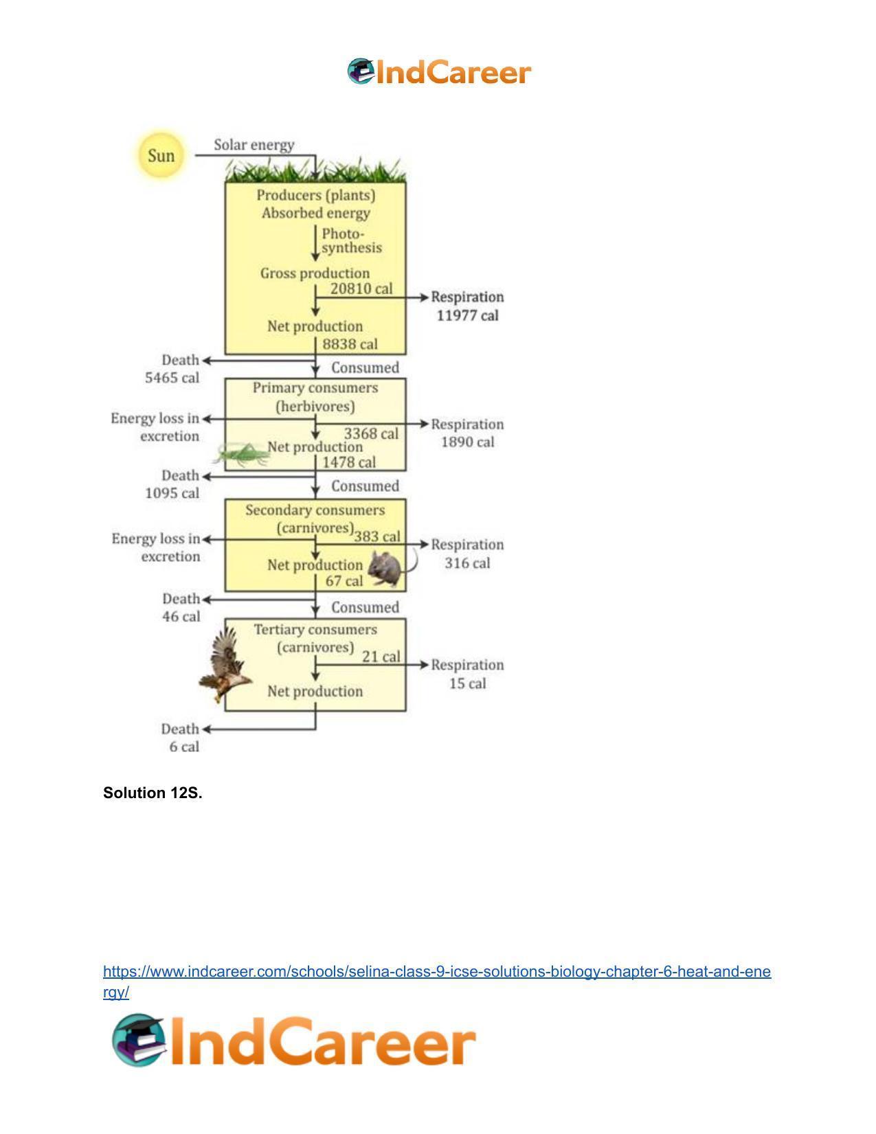 Selina Class 9 ICSE Solutions Biology : Chapter 6- Heat and Energy - Page 13
