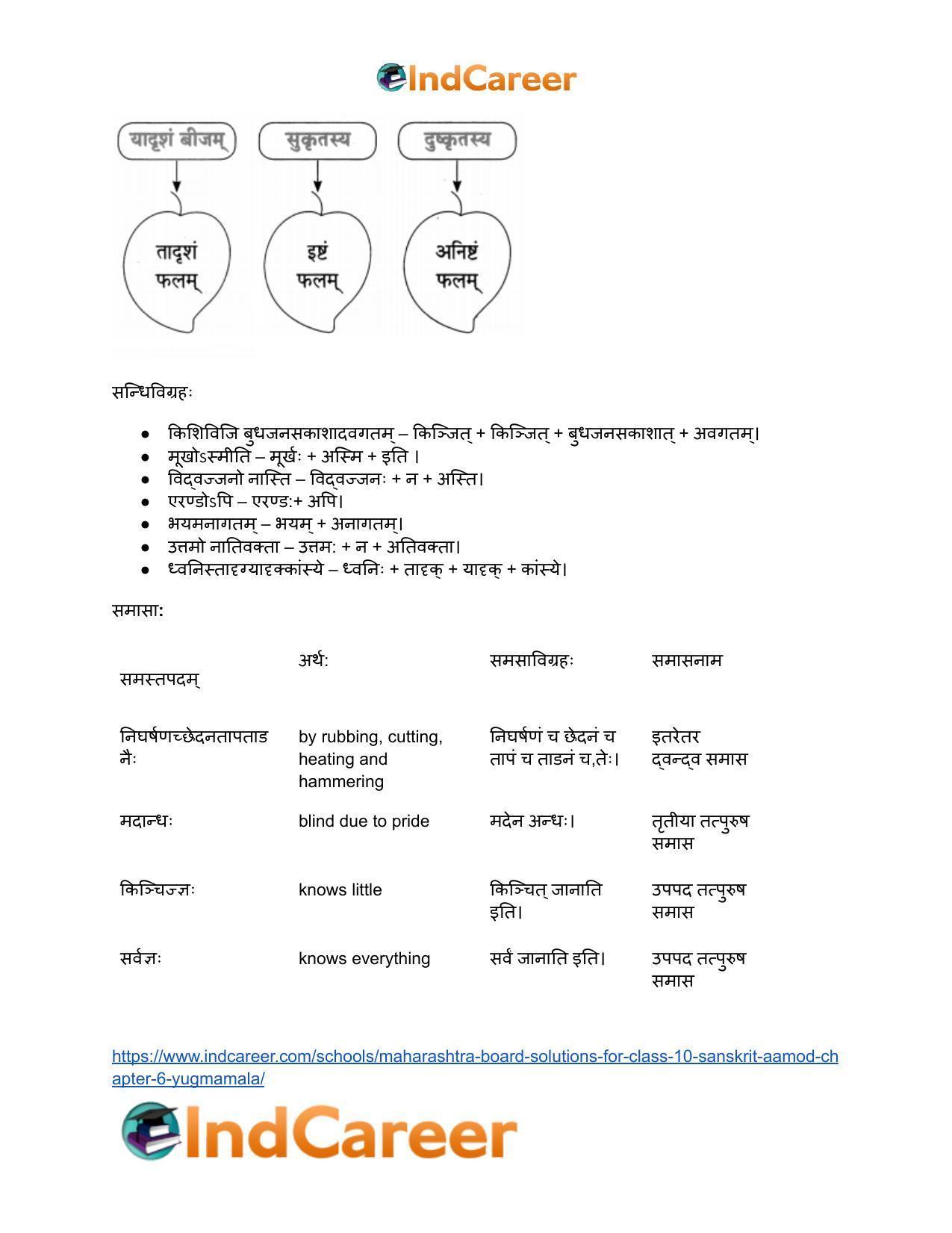 Maharashtra Board Solutions for Class 10- Sanskrit Aamod: Chapter 6- युग्ममाला - Page 15