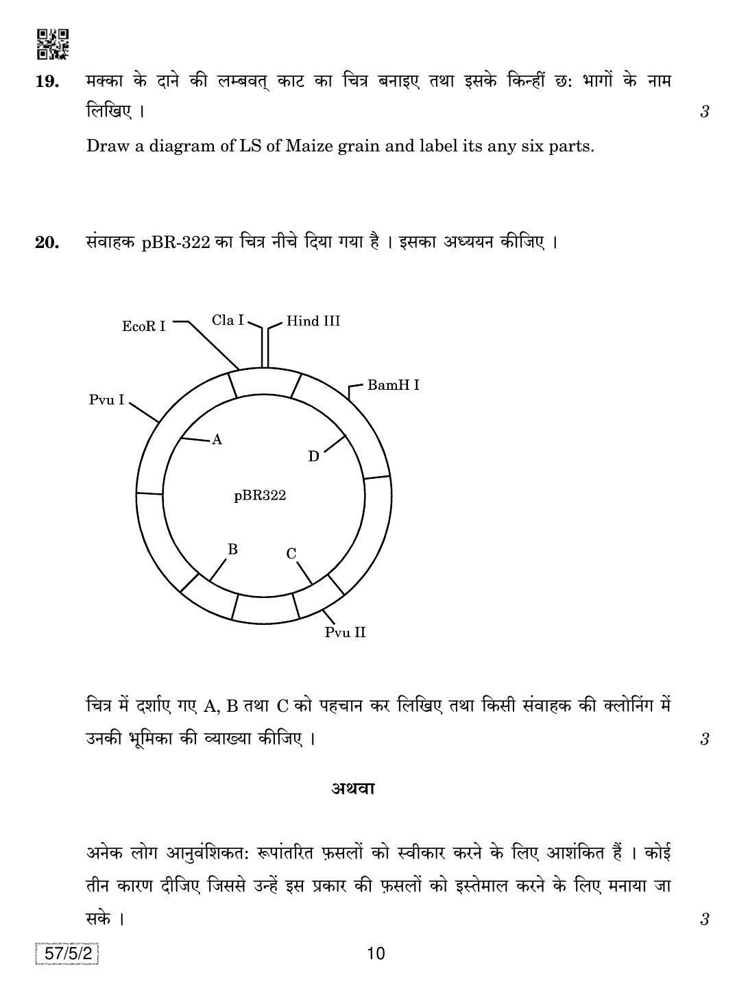 CBSE Class 12 57-5-2 Biology 2019 Question Paper - Page 10