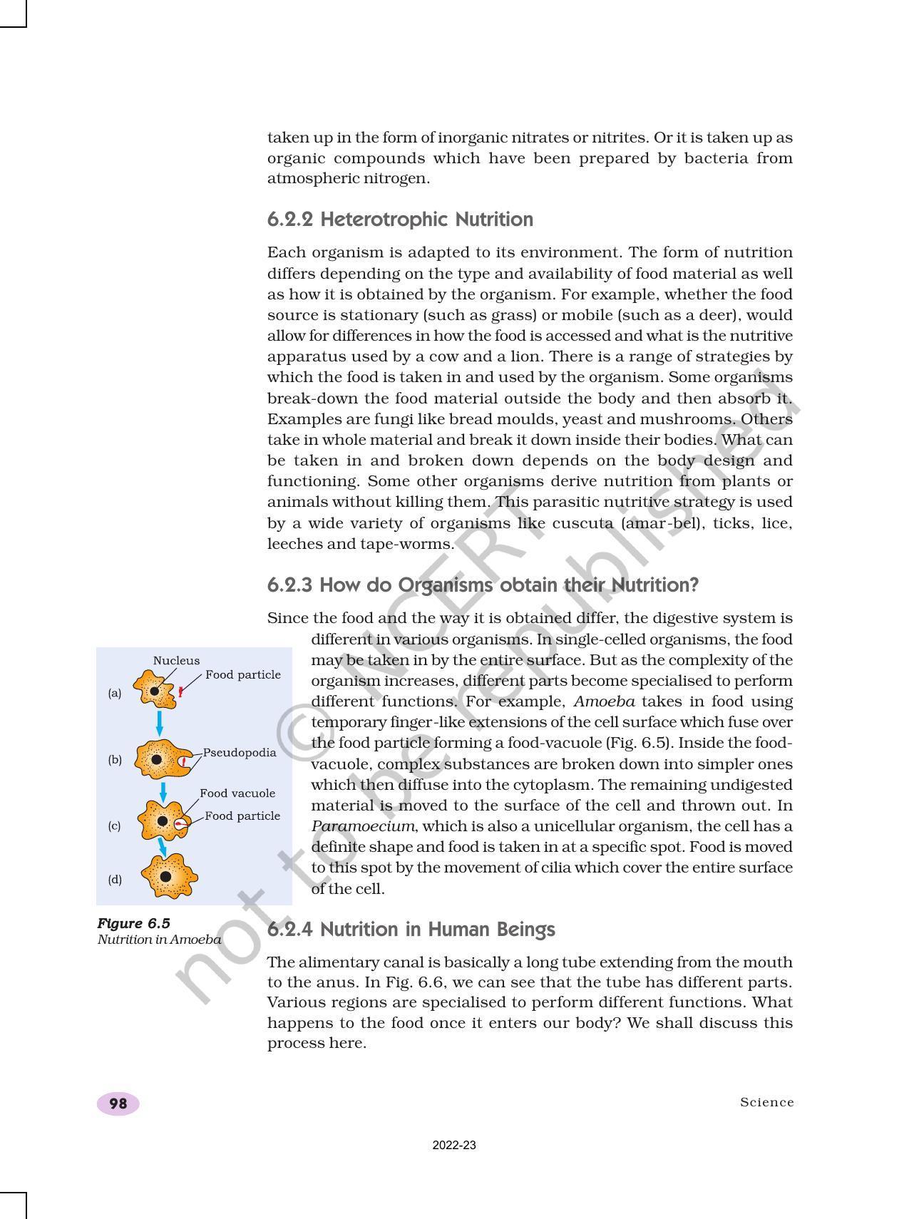 NCERT Book for Class 10 Science Chapter 6 Life Processes - Page 6