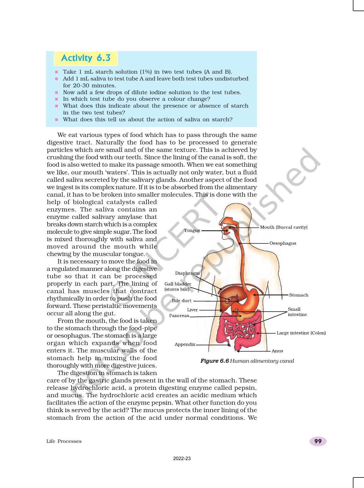 NCERT Book for Class 10 Science Chapter 6 Life Processes - Page 7
