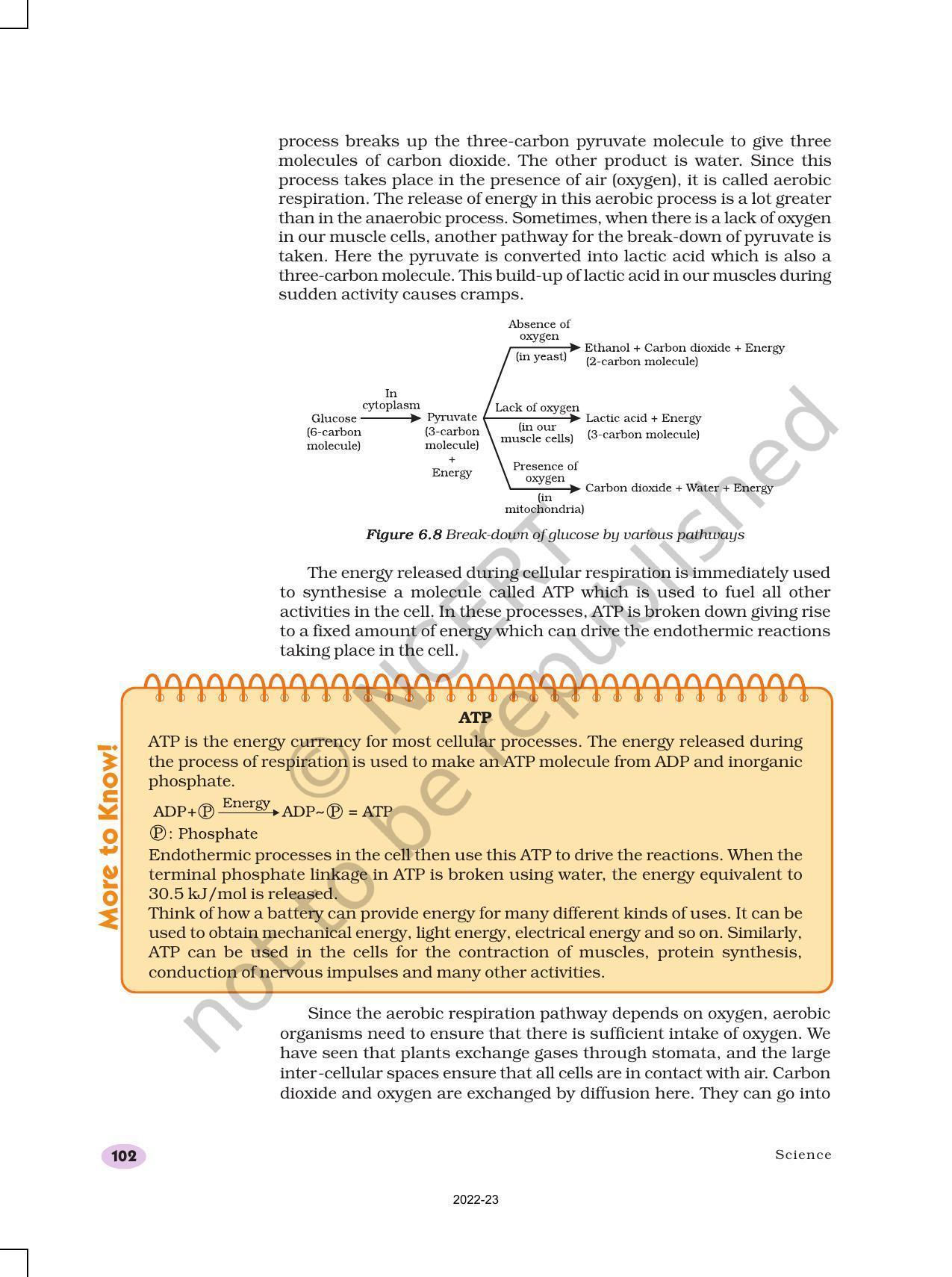 NCERT Book for Class 10 Science Chapter 6 Life Processes - Page 10