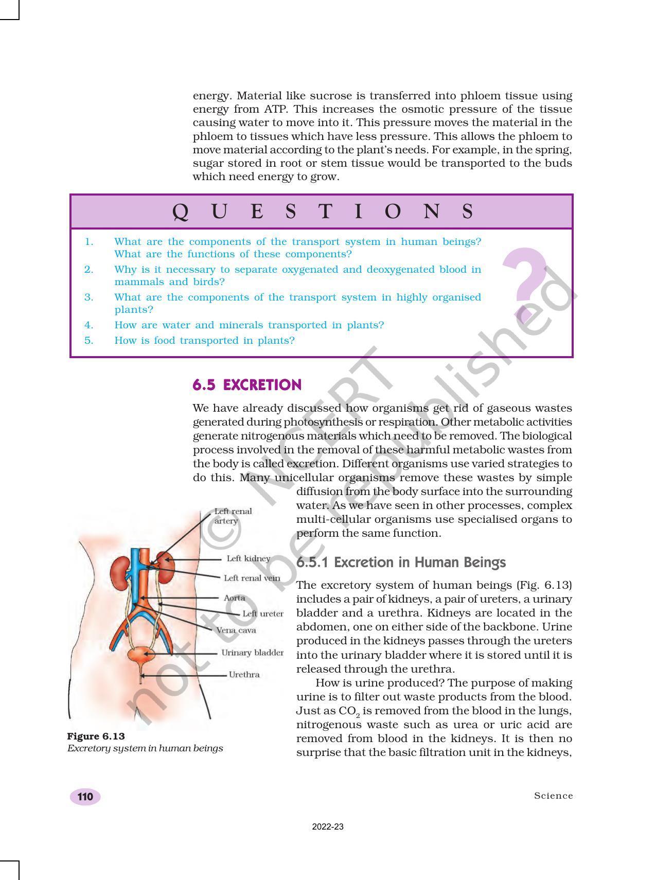 NCERT Book for Class 10 Science Chapter 6 Life Processes - Page 18