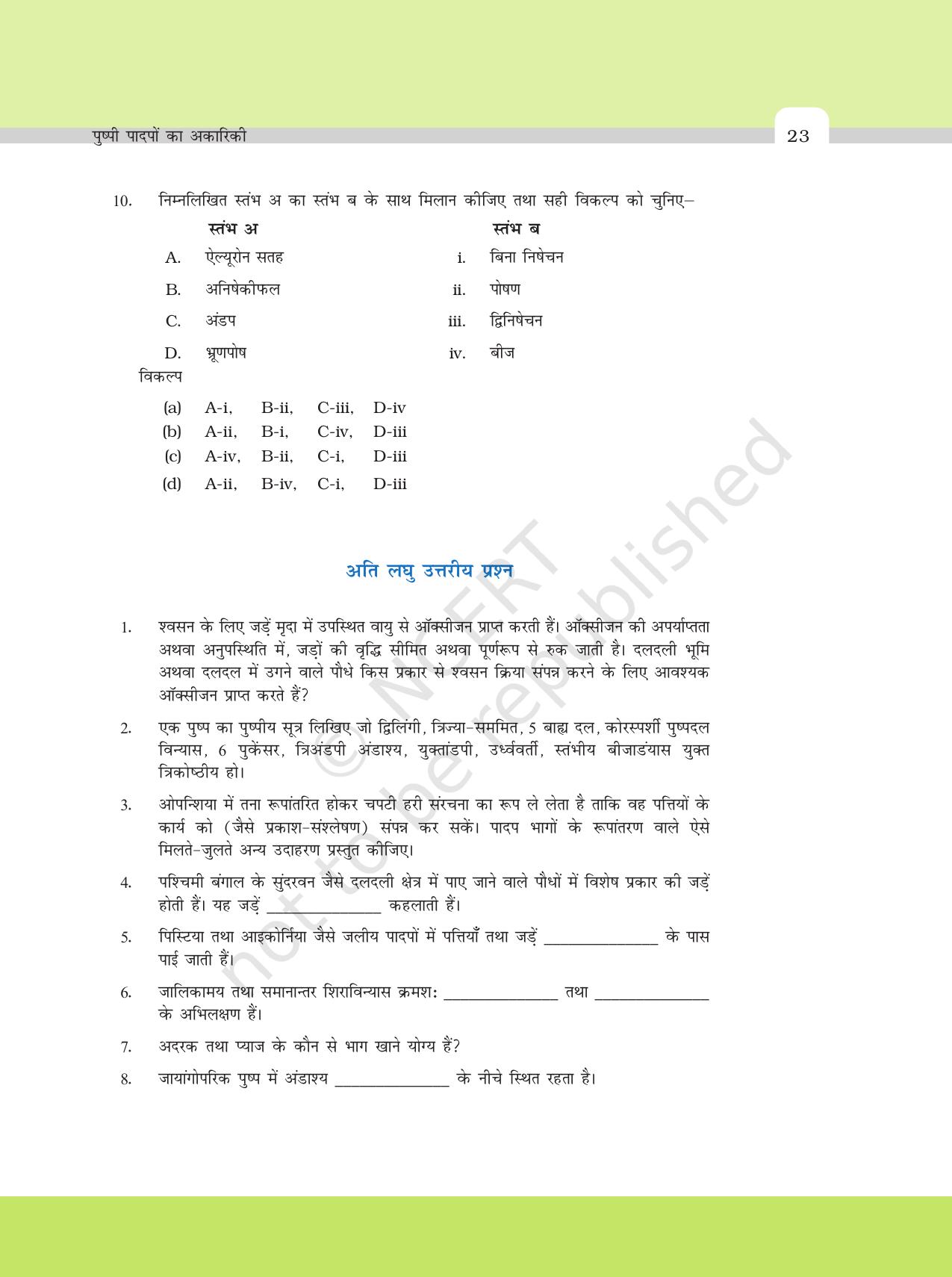 NCERT Exemplar Class 11: जीवविज्ञान अध्याय 5 (पुष्पी पादपो की आकारिकी) - Page 3
