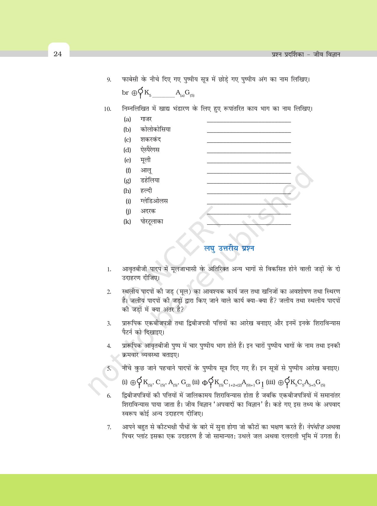 NCERT Exemplar Class 11: जीवविज्ञान अध्याय 5 (पुष्पी पादपो की आकारिकी) - Page 4