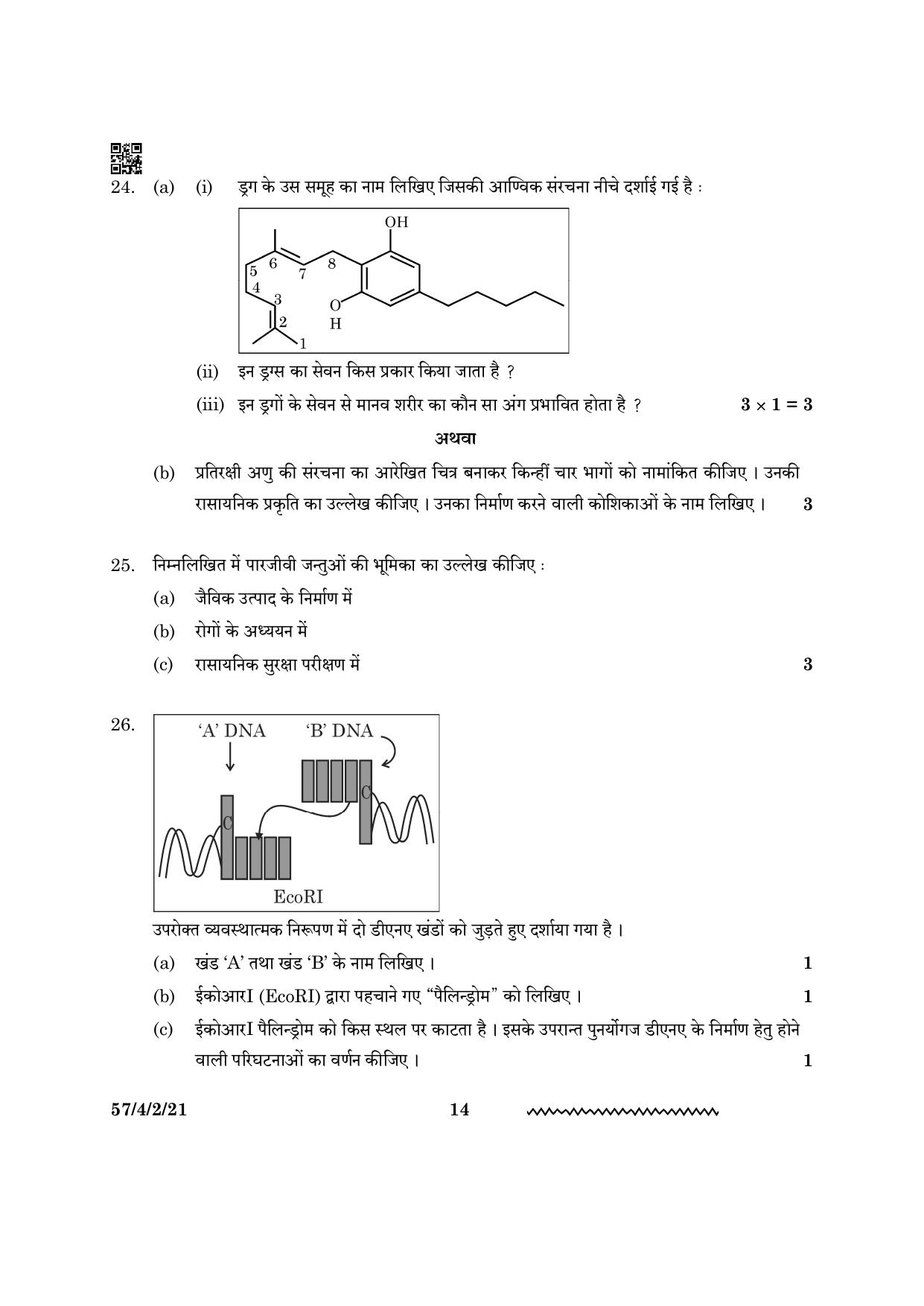 CBSE Class 12 57 4 2 Biology 2024 Question Paper - Page 14