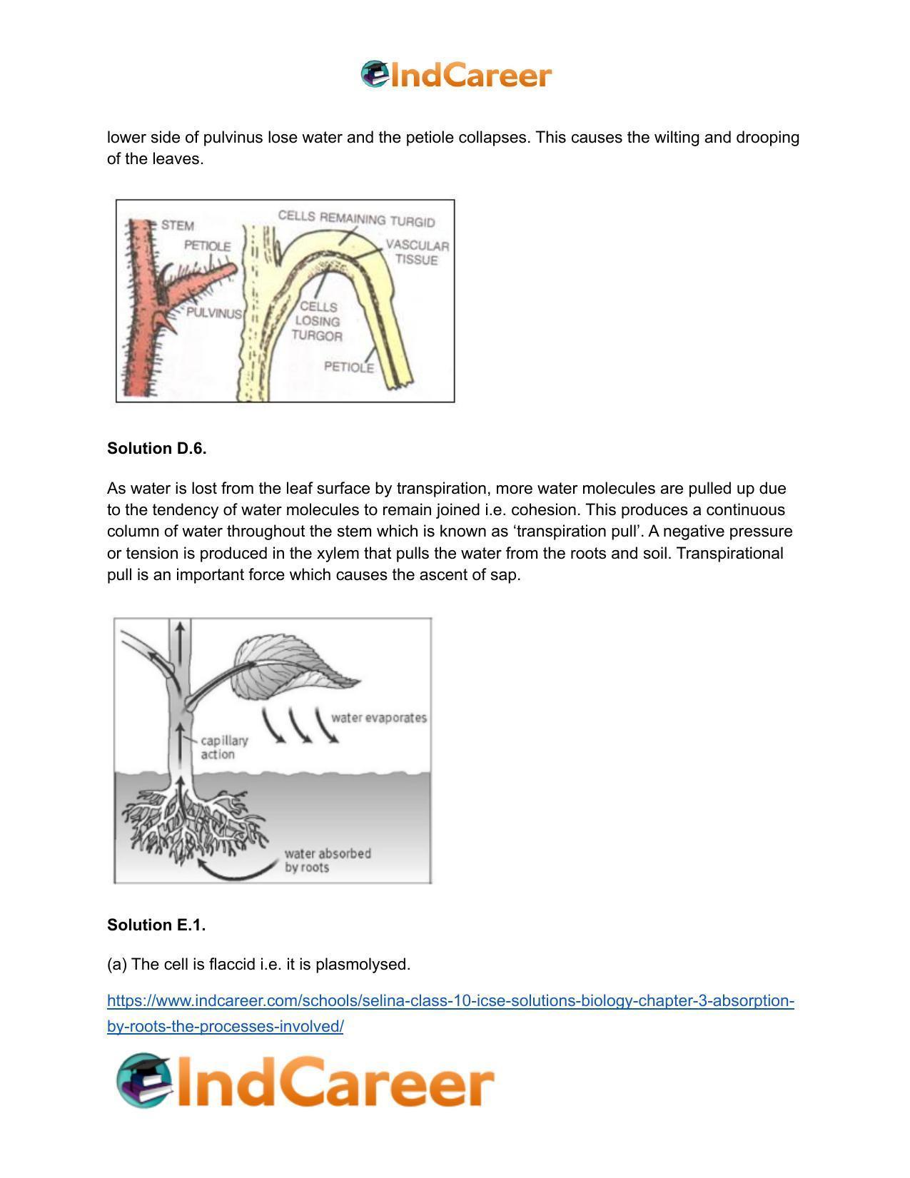 Selina Class 10 ICSE Solutions Biology : Chapter 3- Absorption by Roots : The Processes Involved - Page 10