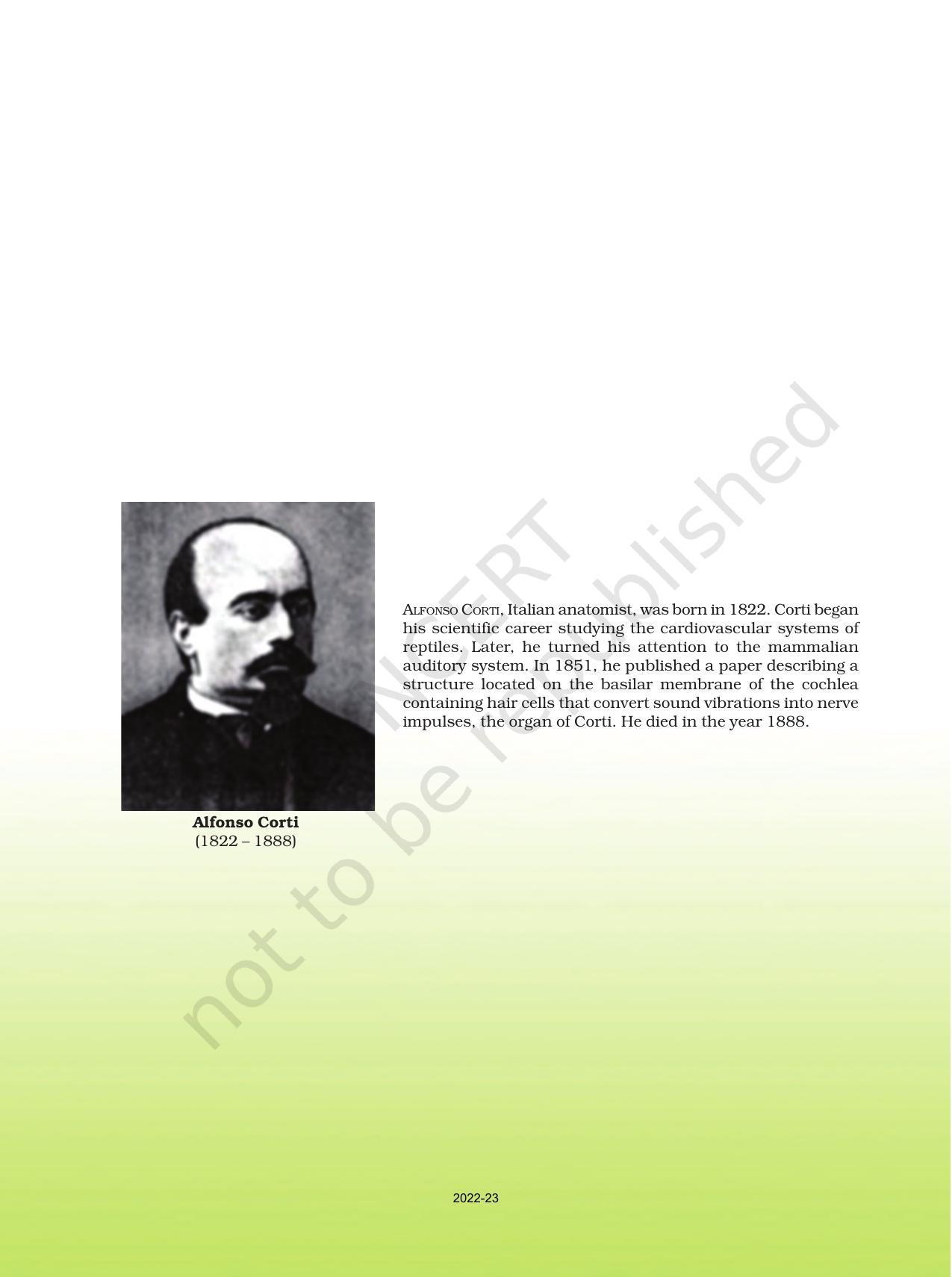 NCERT Book for Class 11 Biology Chapter 16 Digestion and Absorption - Page 2