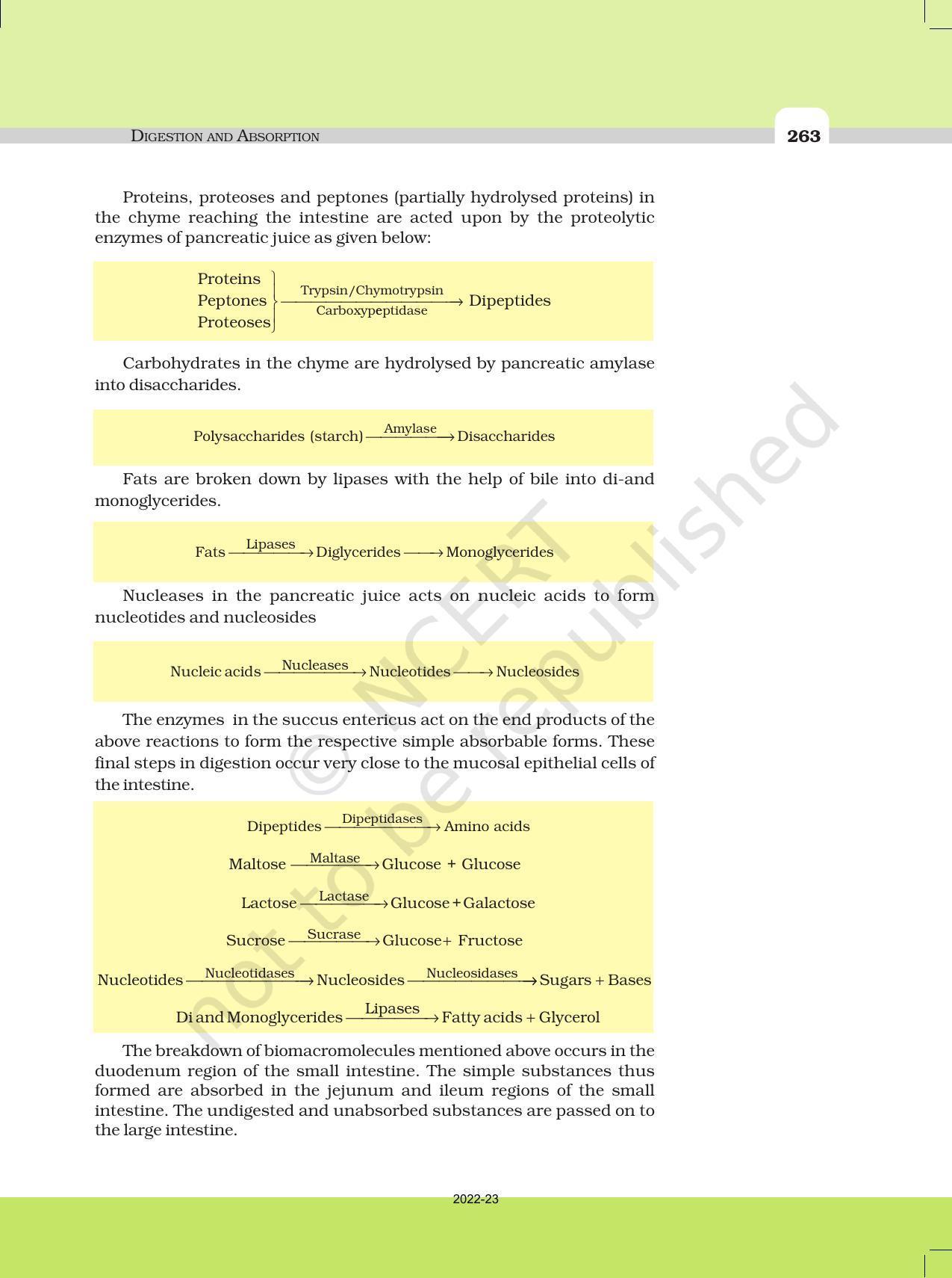 NCERT Book for Class 11 Biology Chapter 16 Digestion and Absorption - Page 9