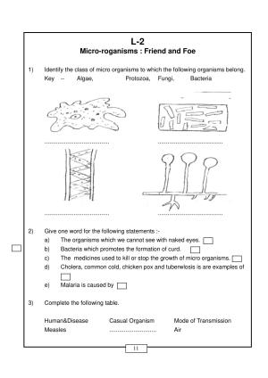 CBSE Worksheets for Class 8 Science Micro organisms Friend and Foe Assignment