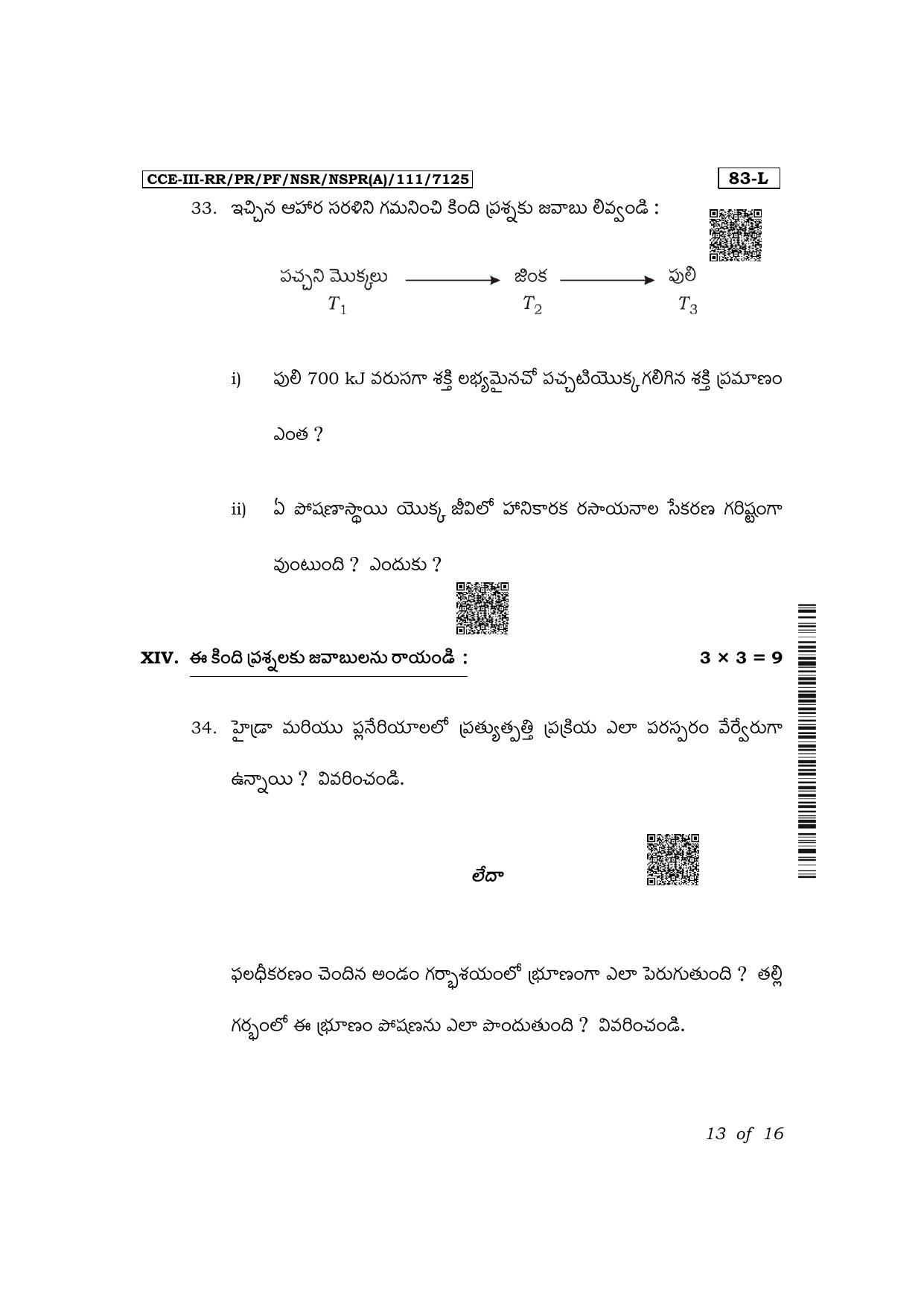 Karnataka SSLC Science (Telugu Medium) Exam 3 Question Paper 2024 (A Version) - Page 13