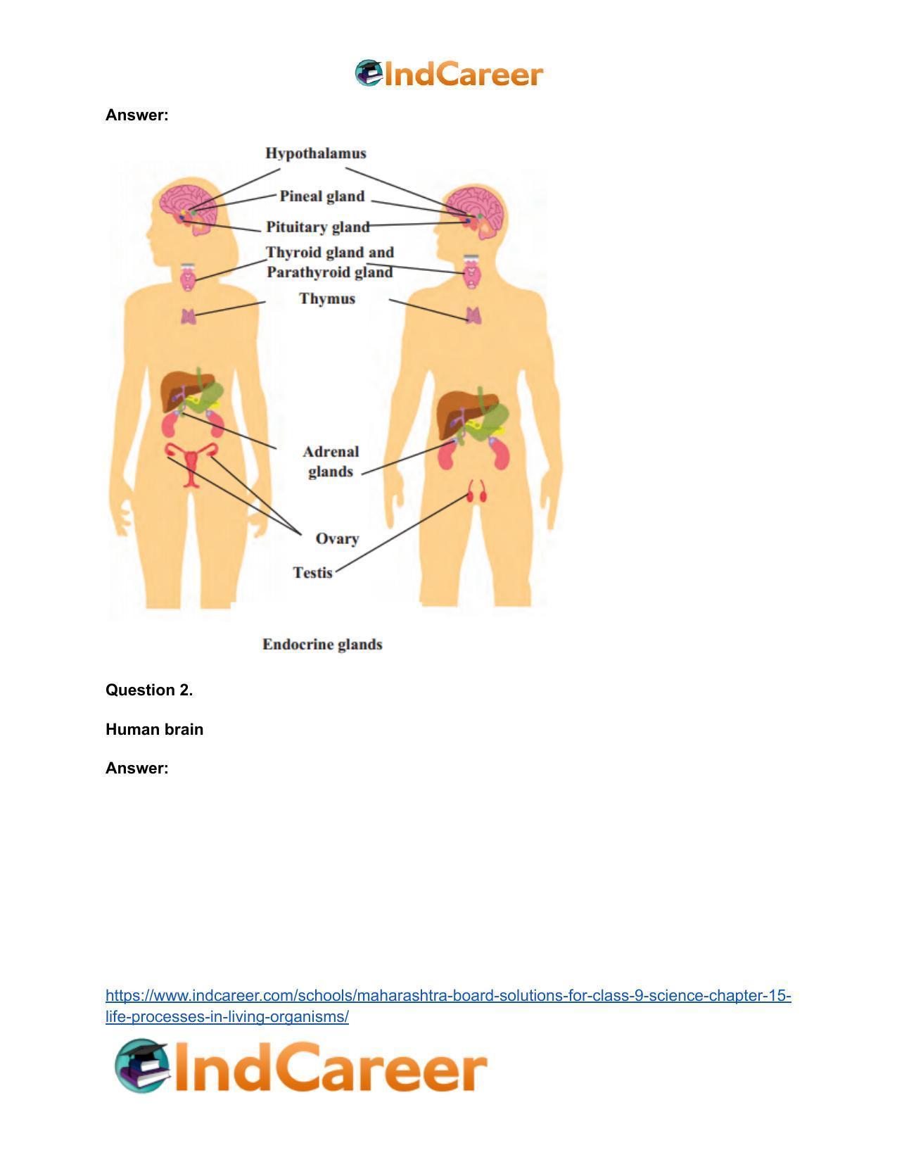 Maharashtra Board Solutions for Class 9- Science: Chapter 15- Life Processes in Living Organisms - Page 6