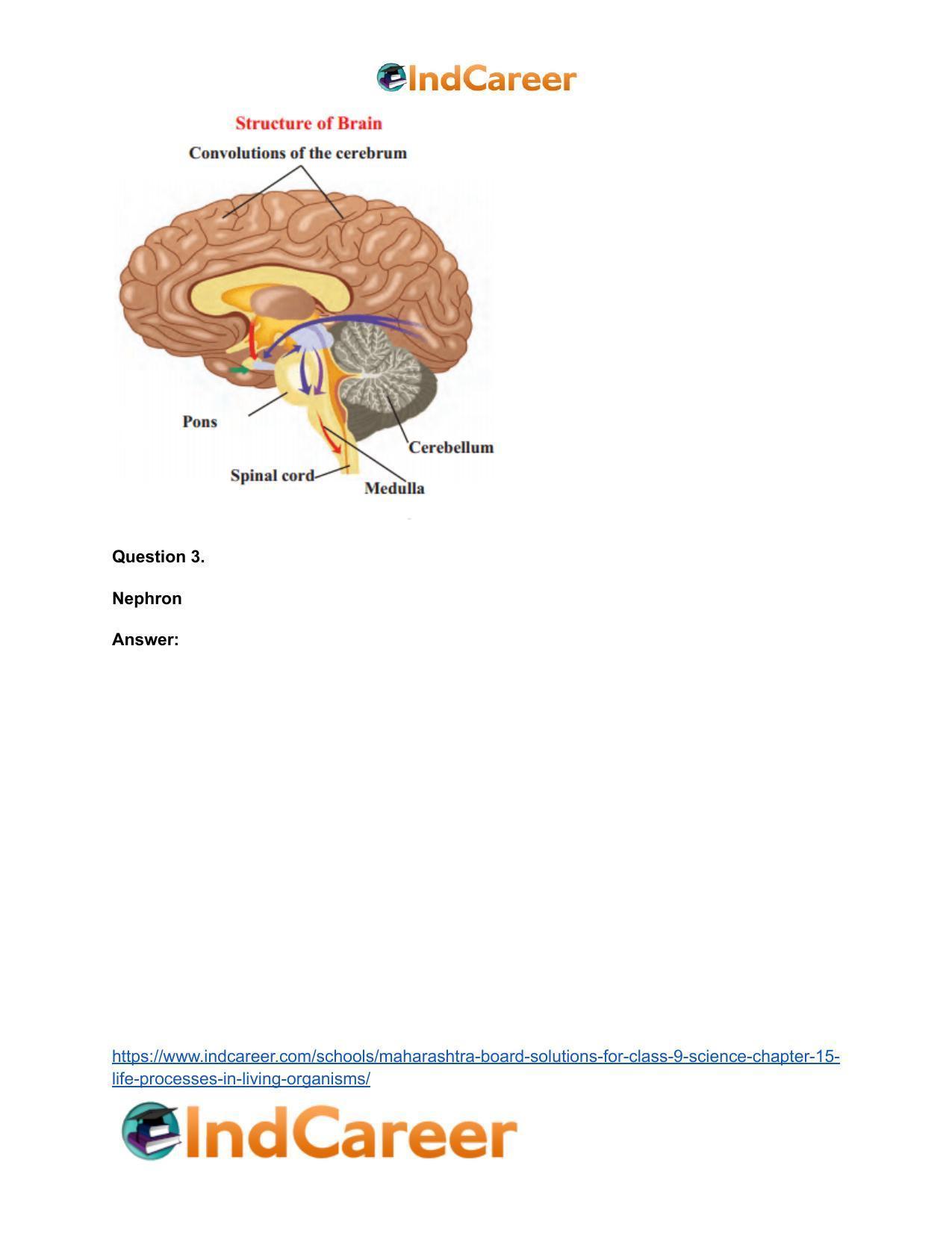 Maharashtra Board Solutions for Class 9- Science: Chapter 15- Life Processes in Living Organisms - Page 7