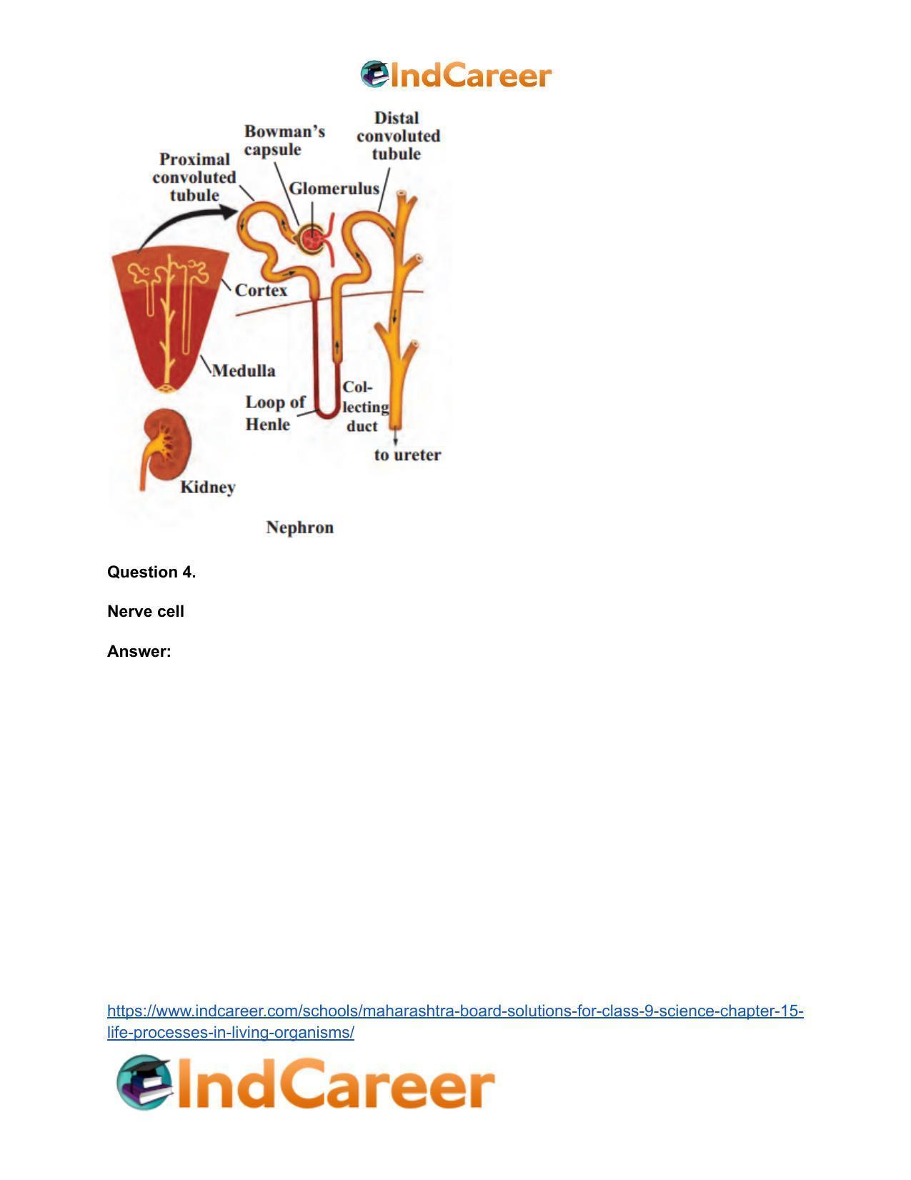 Maharashtra Board Solutions for Class 9- Science: Chapter 15- Life Processes in Living Organisms - Page 8