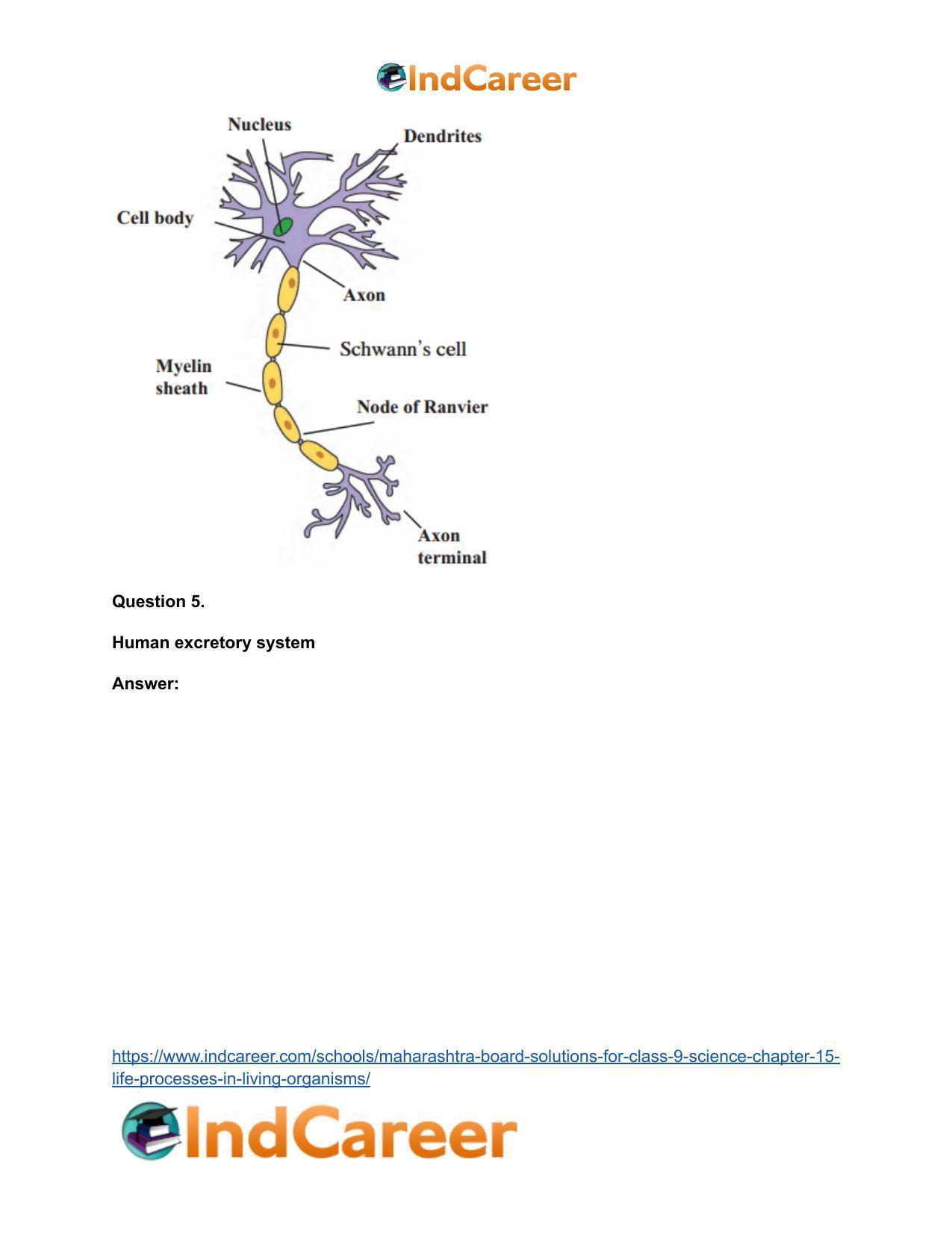 Maharashtra Board Solutions for Class 9- Science: Chapter 15- Life Processes in Living Organisms - Page 9