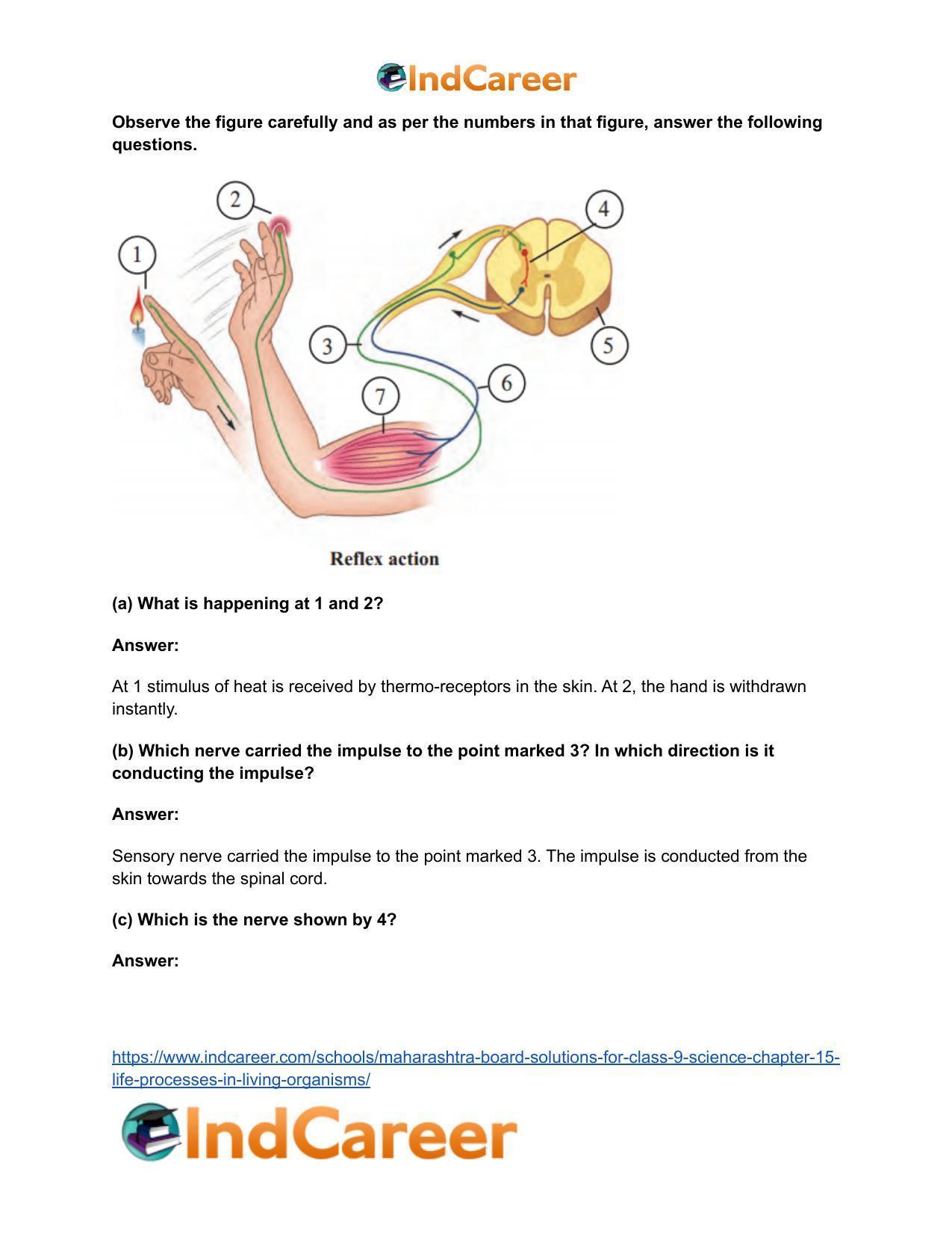 Maharashtra Board Solutions for Class 9- Science: Chapter 15- Life Processes in Living Organisms - Page 22