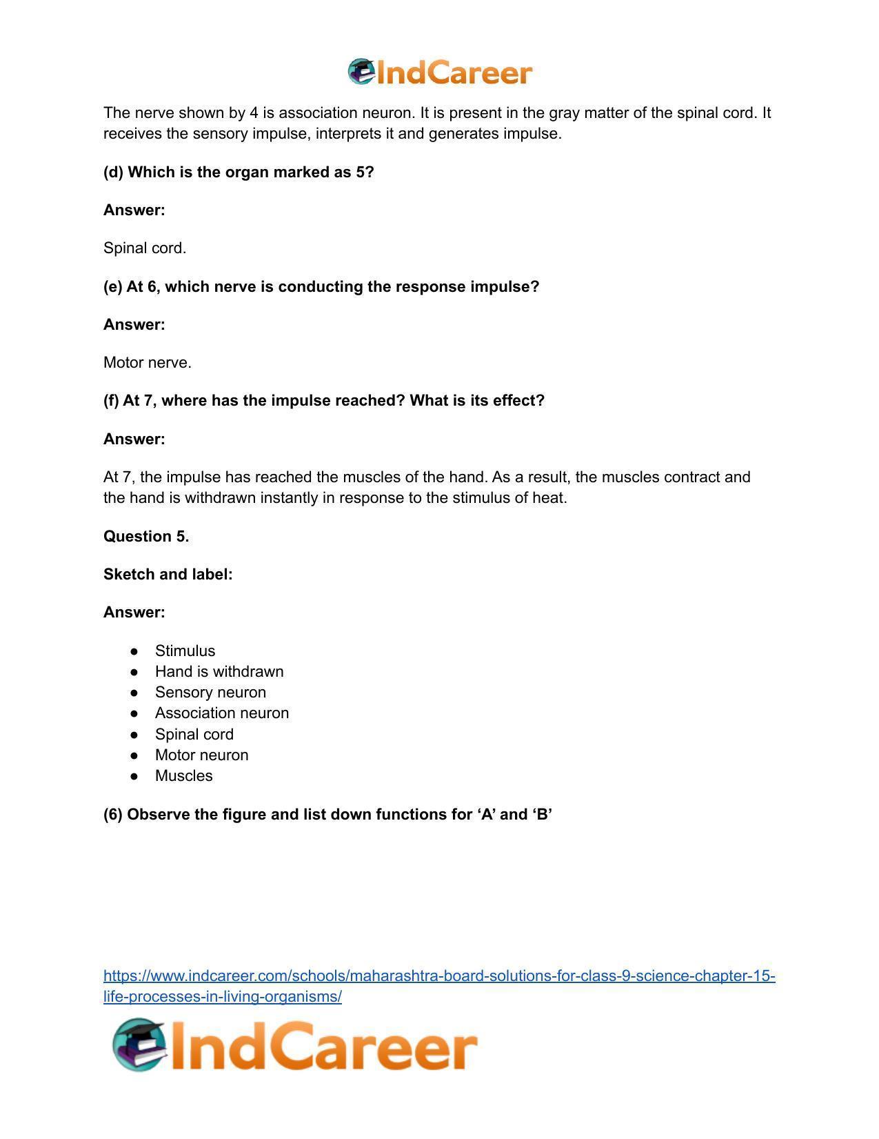 Maharashtra Board Solutions for Class 9- Science: Chapter 15- Life Processes in Living Organisms - Page 23