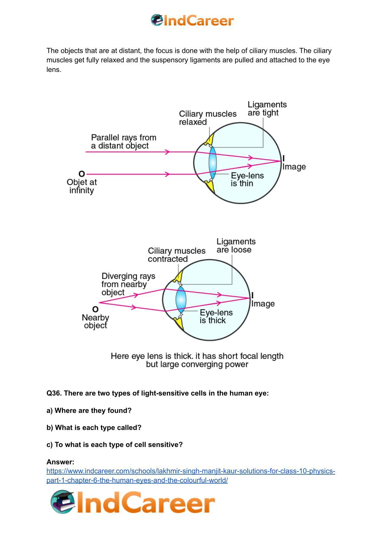 Lakhmir Singh Manjit Kaur Solutions for Class 10 Physics (Part 1) Chapter 6- The Human Eyes And The Colourful World - Page 10