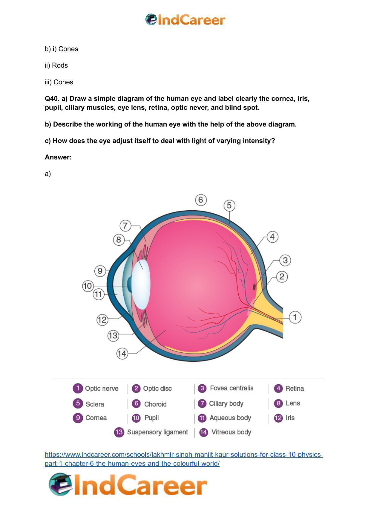 Lakhmir Singh Manjit Kaur Solutions for Class 10 Physics (Part 1) Chapter 6- The Human Eyes And The Colourful World - Page 12