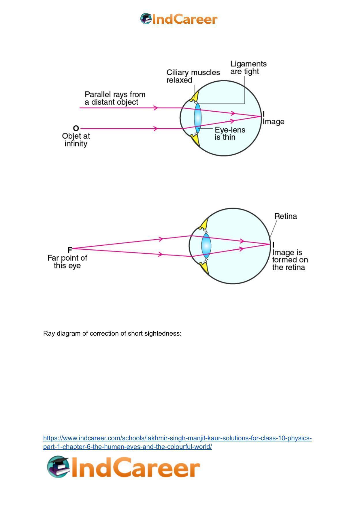 Lakhmir Singh Manjit Kaur Solutions for Class 10 Physics (Part 1) Chapter 6- The Human Eyes And The Colourful World - Page 31
