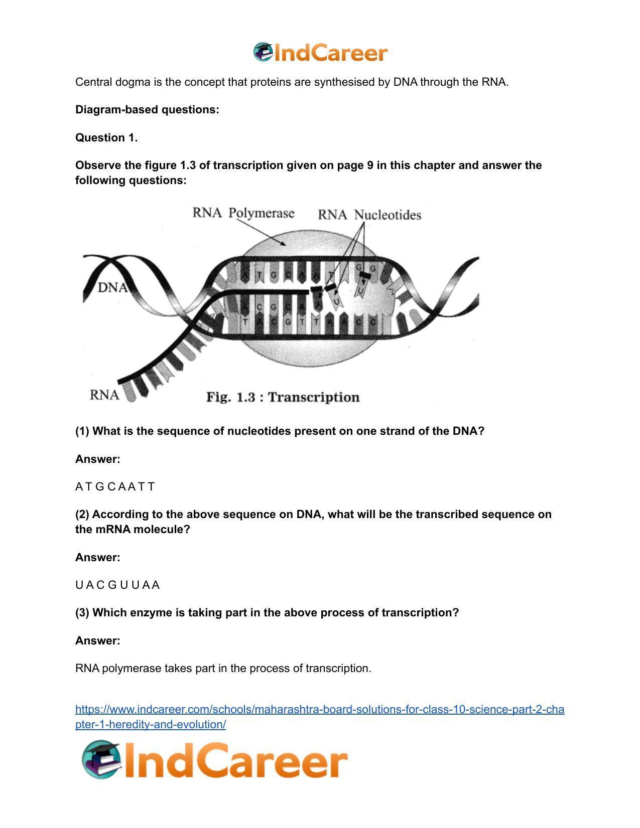 Maharashtra Board Solutions for Class 10- Science (Part 2): Chapter 1- Heredity and Evolution - Page 36