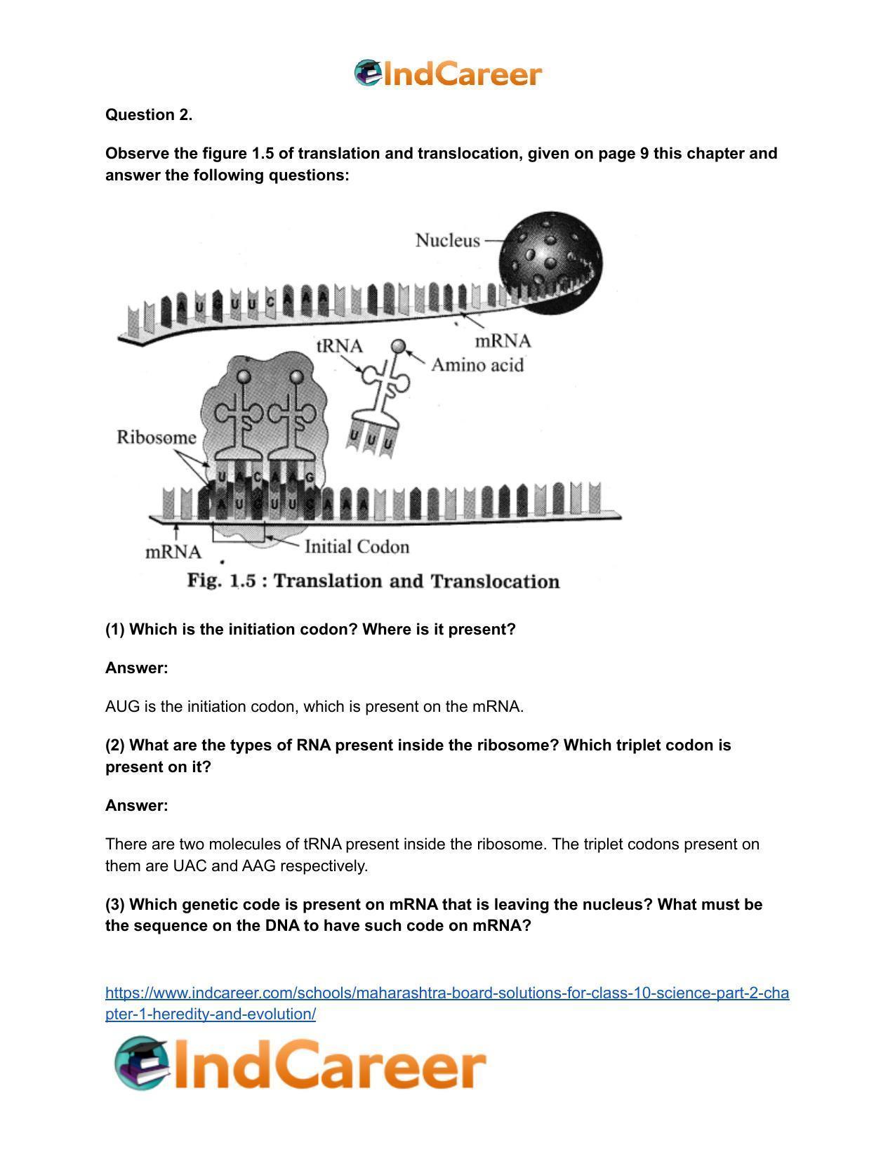 Maharashtra Board Solutions for Class 10- Science (Part 2): Chapter 1- Heredity and Evolution - Page 37