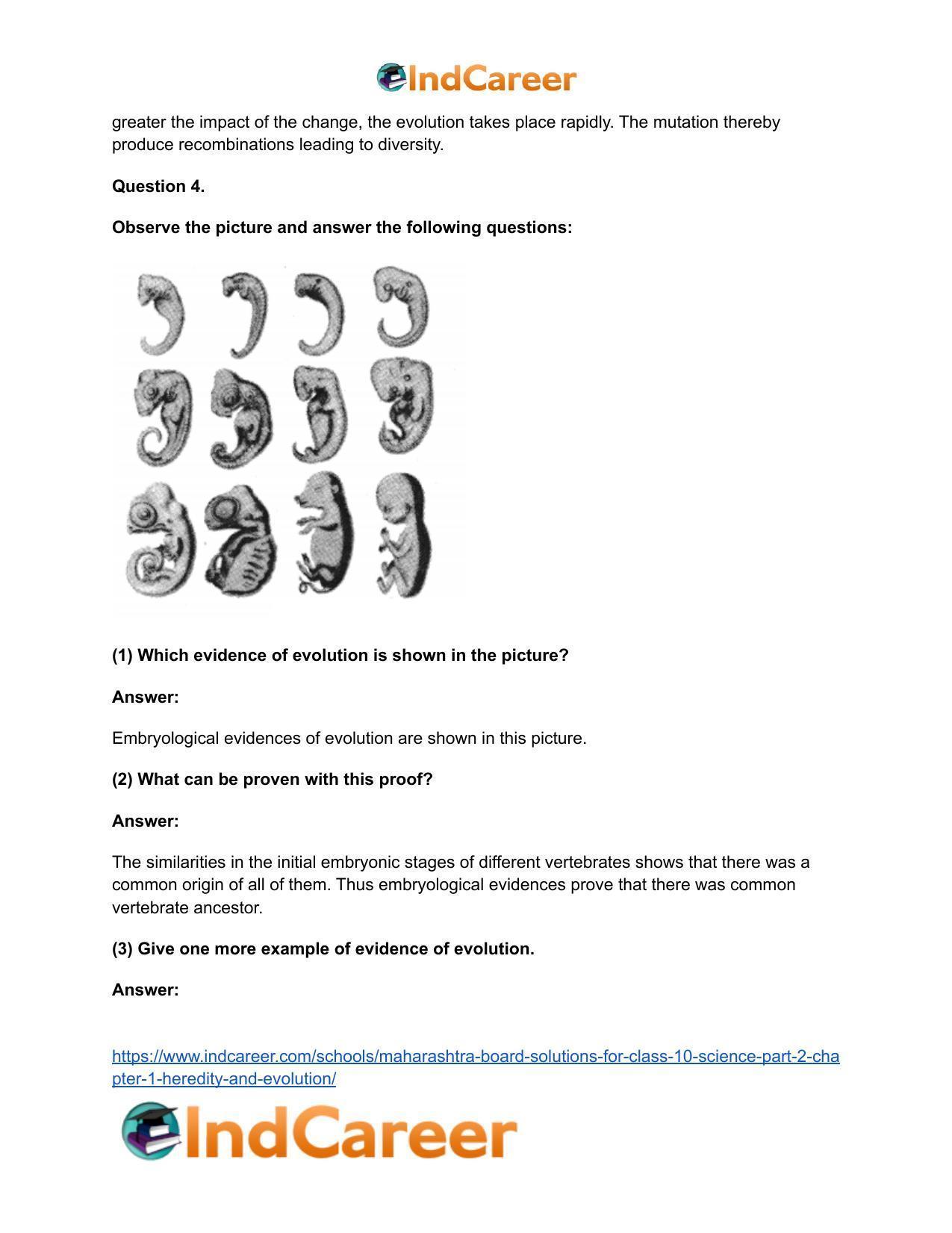 Maharashtra Board Solutions for Class 10- Science (Part 2): Chapter 1- Heredity and Evolution - Page 39