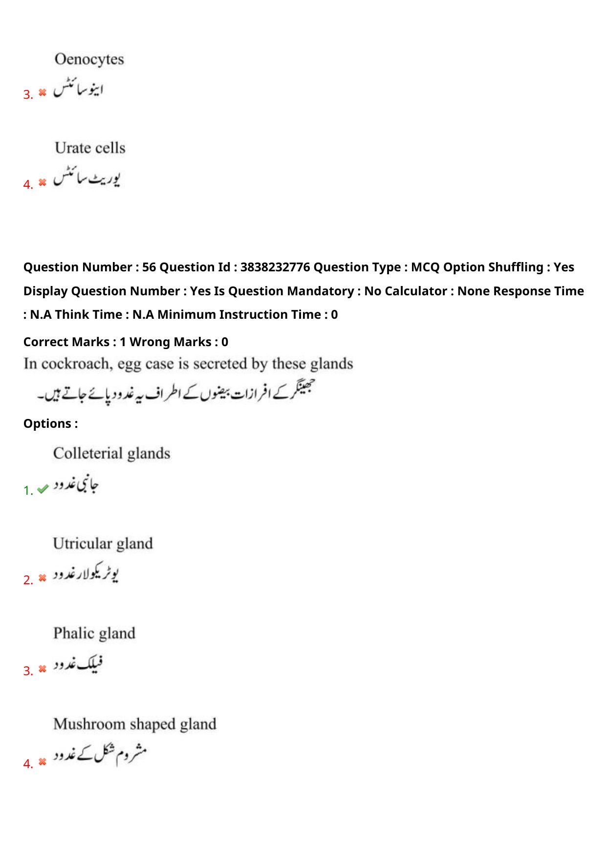 TS EAPCET 2024 Question Paper Agriculture and Pharmacy 08 May Shift 1 (Urdu) With Answer Key - Page 49