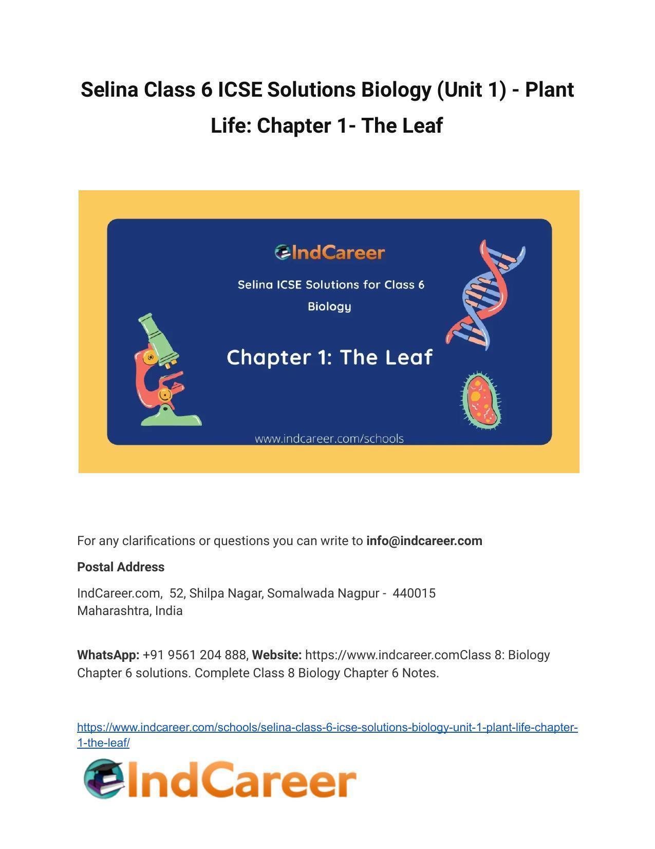 Selina Class 6 ICSE Solutions Biology (Unit 1) - Plant Life: Chapter 1- The Leaf - Page 1
