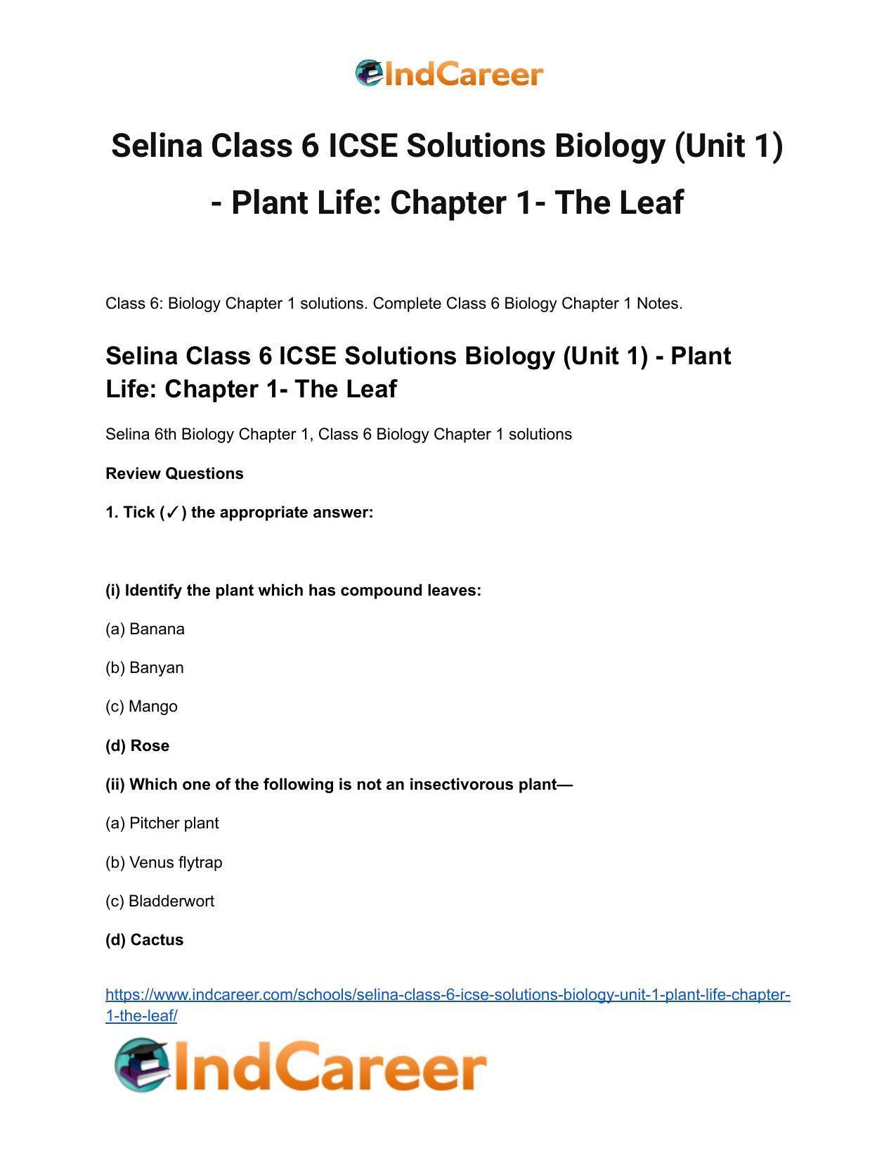 Selina Class 6 ICSE Solutions Biology (Unit 1) - Plant Life: Chapter 1- The Leaf - Page 2