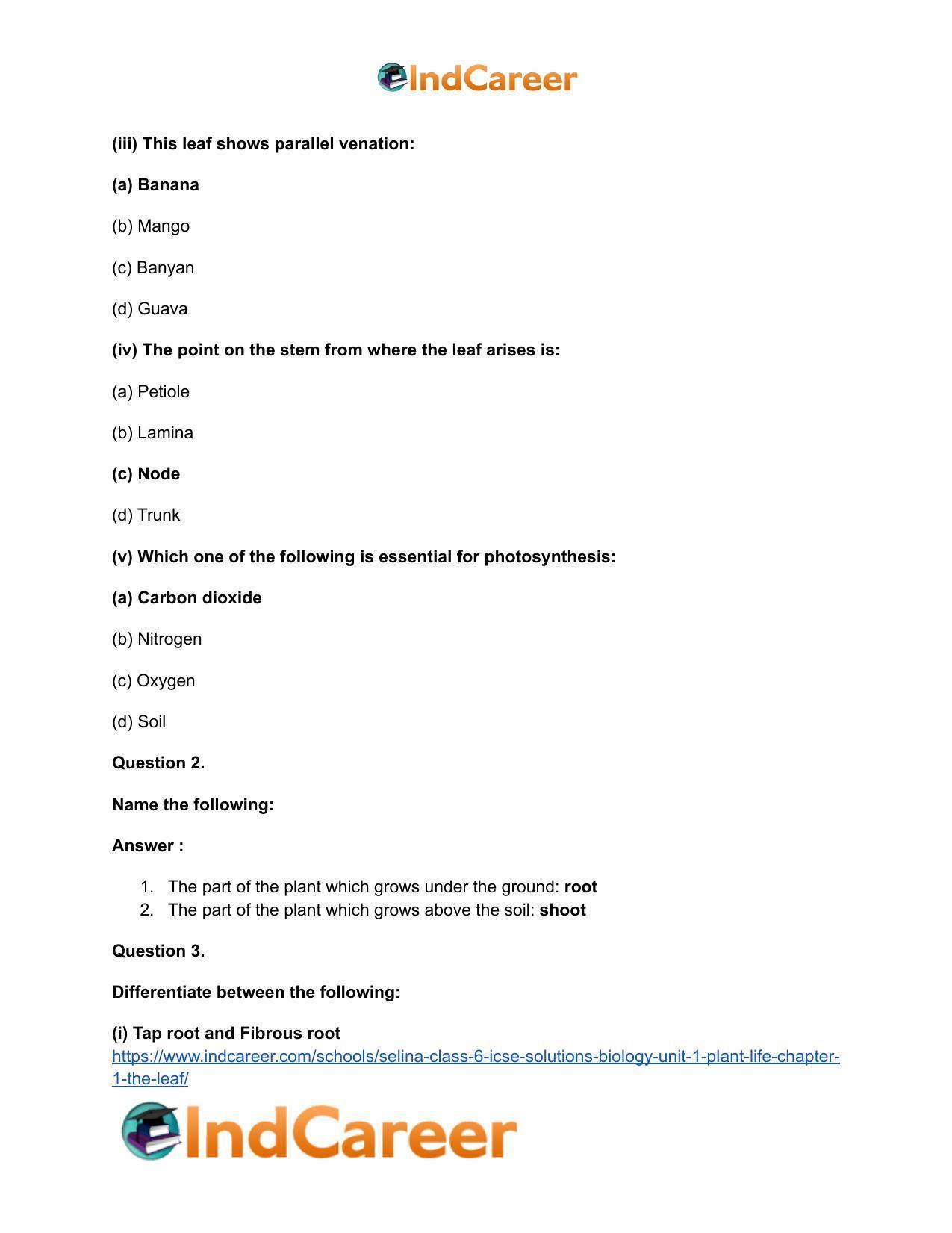 Selina Class 6 ICSE Solutions Biology (Unit 1) - Plant Life: Chapter 1- The Leaf - Page 3