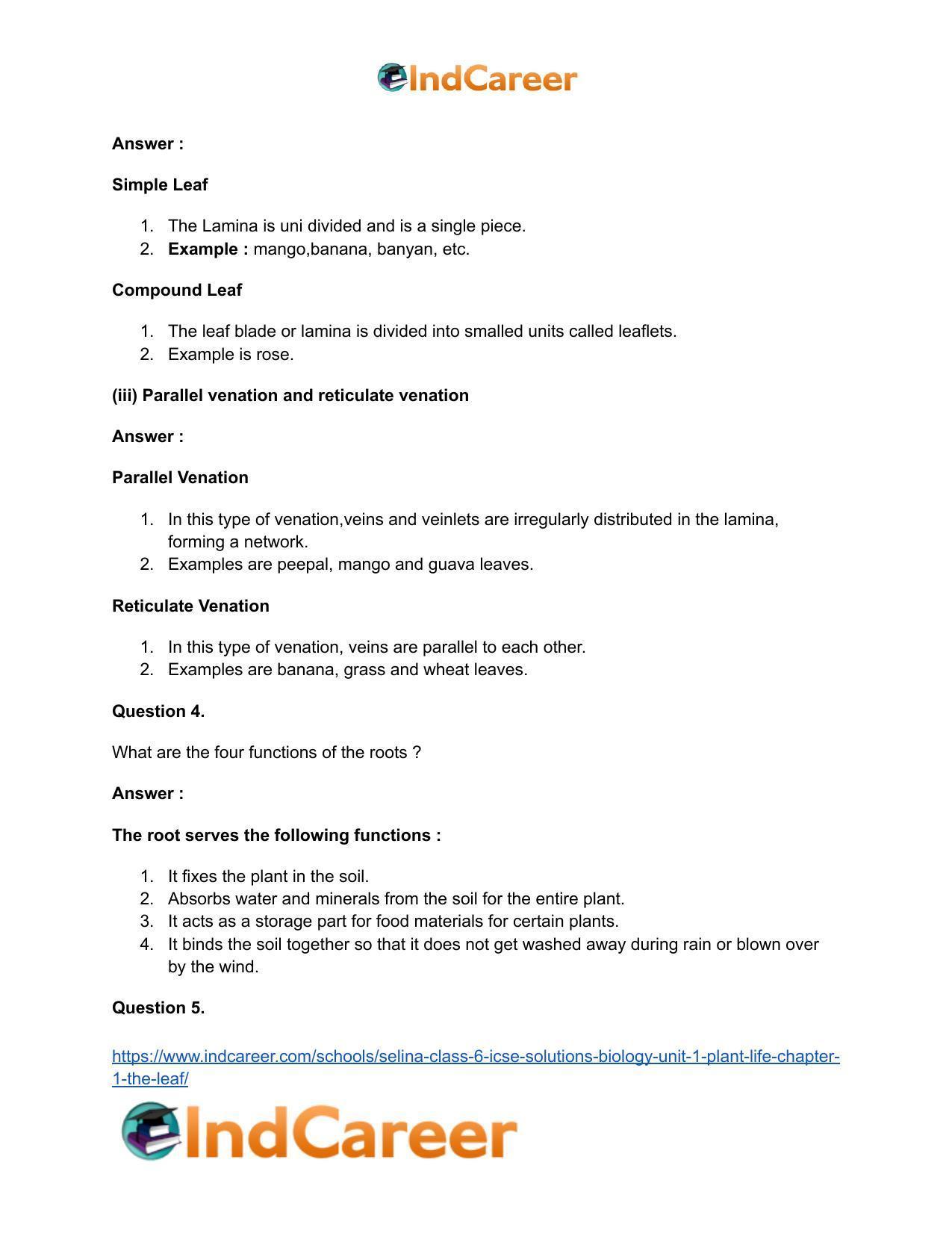 Selina Class 6 ICSE Solutions Biology (Unit 1) - Plant Life: Chapter 1- The Leaf - Page 5