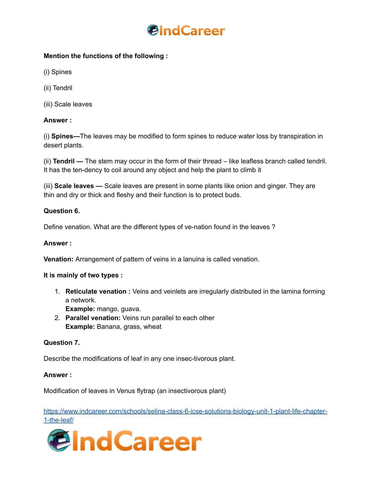 Selina Class 6 ICSE Solutions Biology (Unit 1) - Plant Life: Chapter 1- The Leaf - Page 6