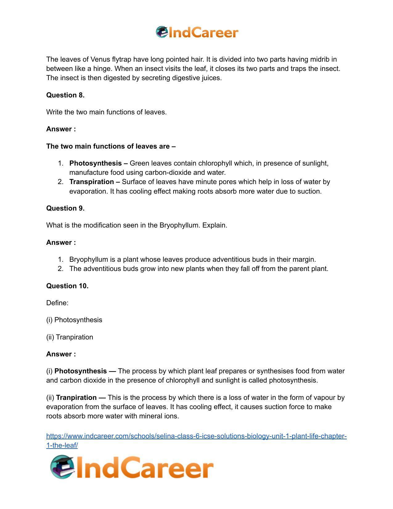 Selina Class 6 ICSE Solutions Biology (Unit 1) - Plant Life: Chapter 1- The Leaf - Page 7