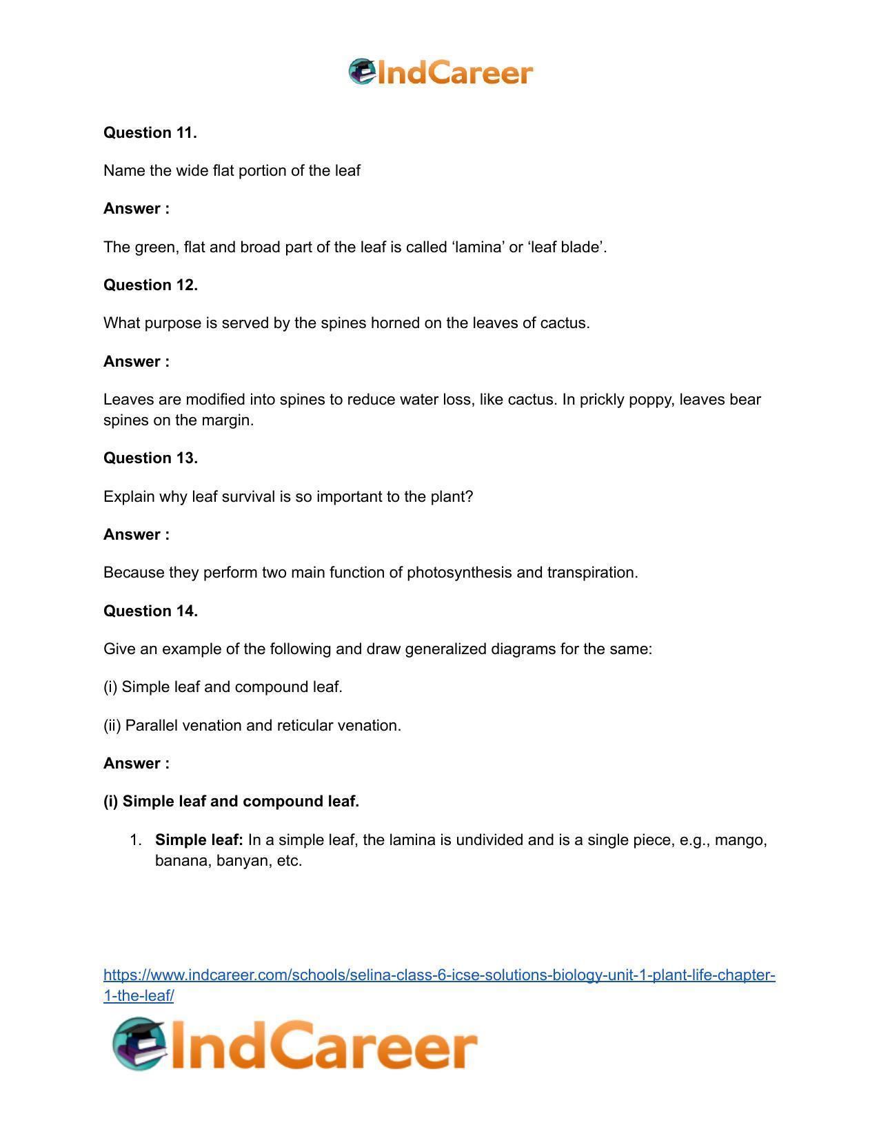 Selina Class 6 ICSE Solutions Biology (Unit 1) - Plant Life: Chapter 1- The Leaf - Page 8