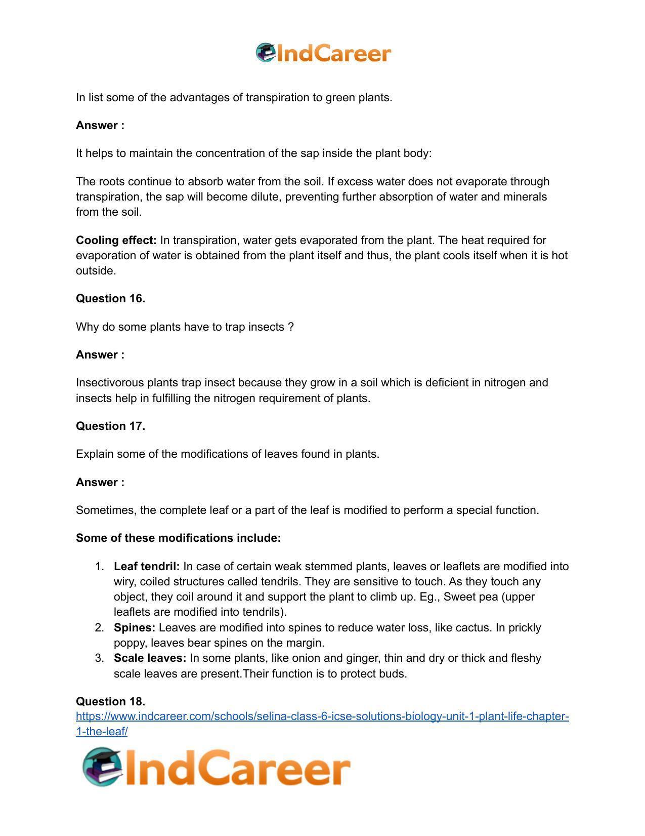 Selina Class 6 ICSE Solutions Biology (Unit 1) - Plant Life: Chapter 1- The Leaf - Page 10