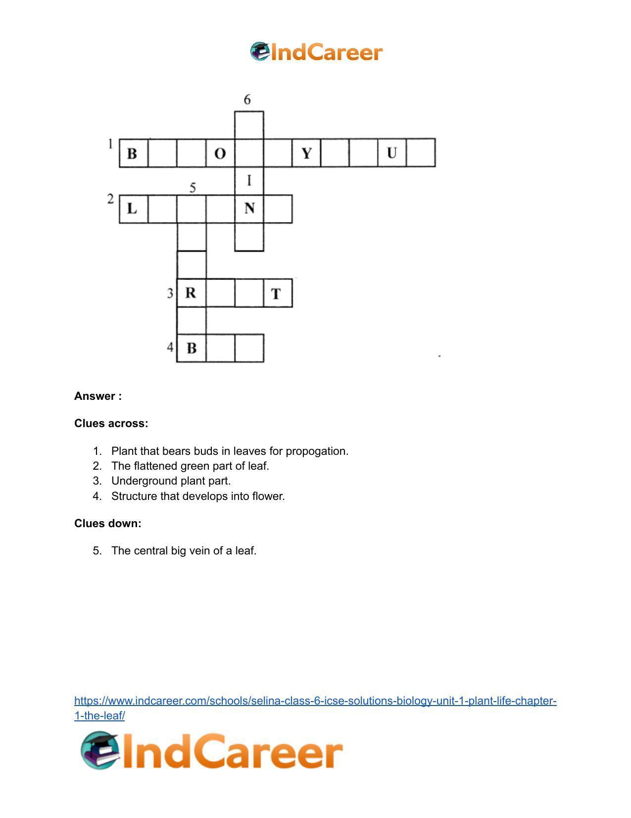 Selina Class 6 ICSE Solutions Biology (Unit 1) - Plant Life: Chapter 1- The Leaf - Page 12