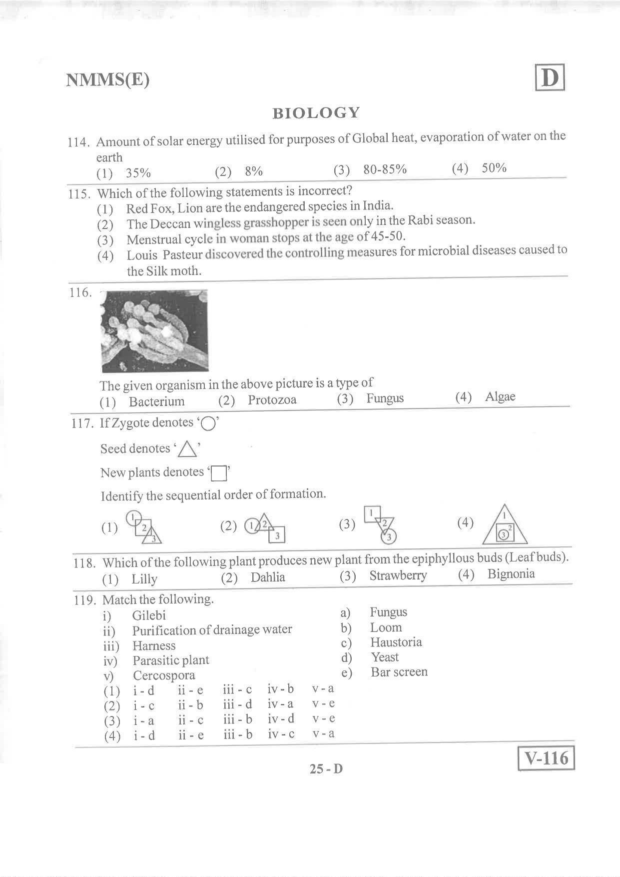 English Medium Nov 2019 (Set D) Class 8 Andhra Pradesh NMMS Question Papers - Page 25