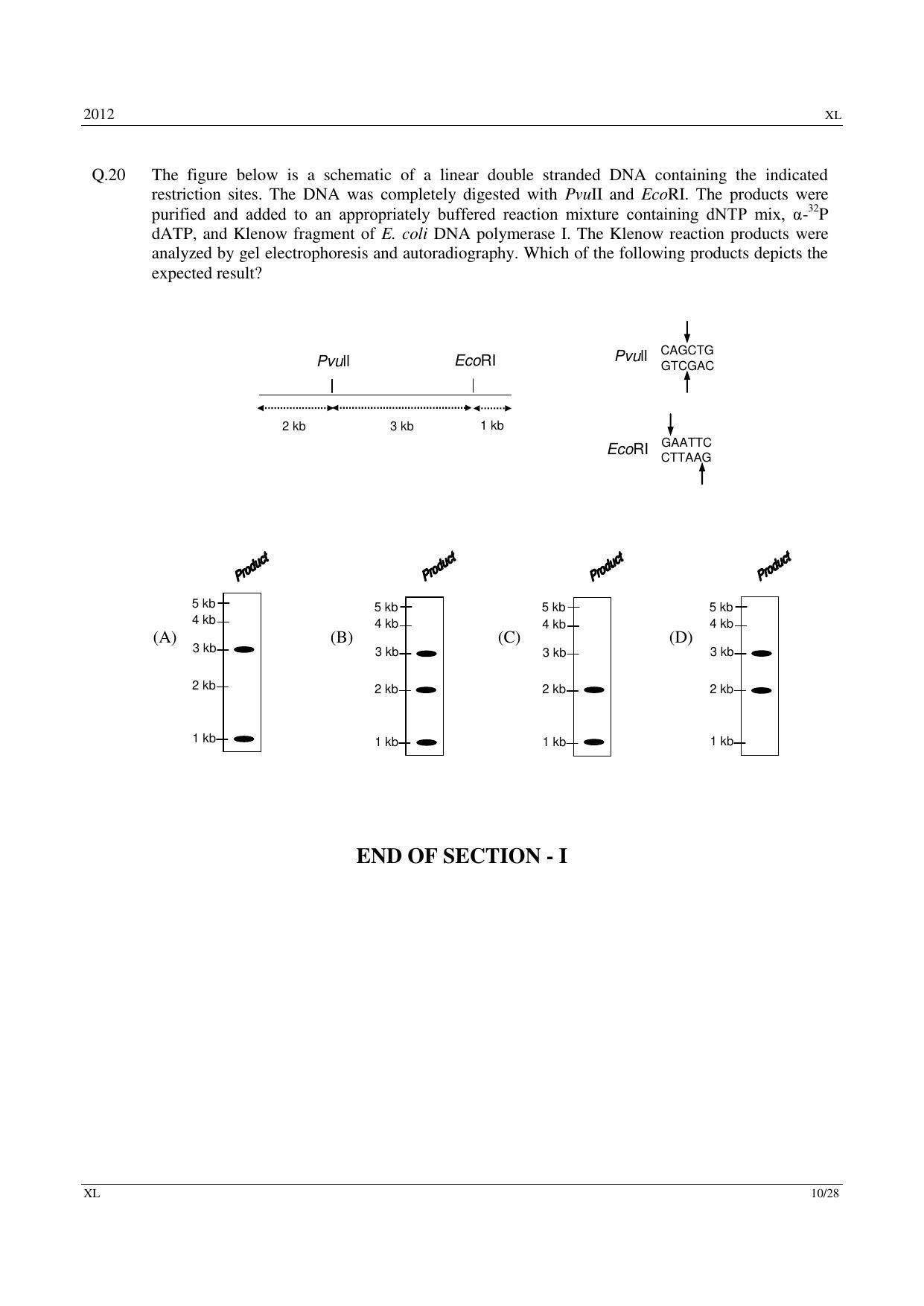 GATE 2012 Life Sciences (XL) Question Paper with Answer Key - Page 10