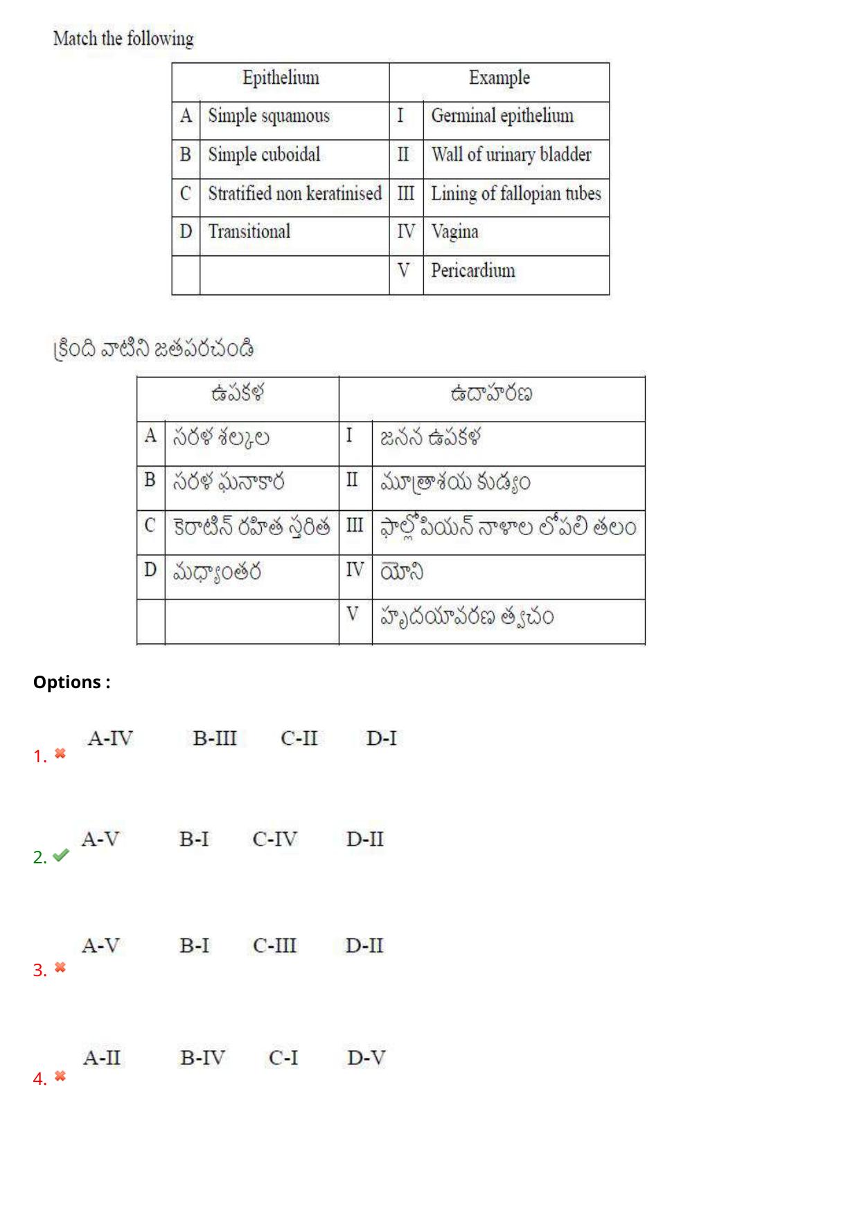 AP EAPCET 2024 - 16 May 2024 Forenoon - Master Agriculture & Pharmacy Question Paper With Preliminary Keys - Page 44