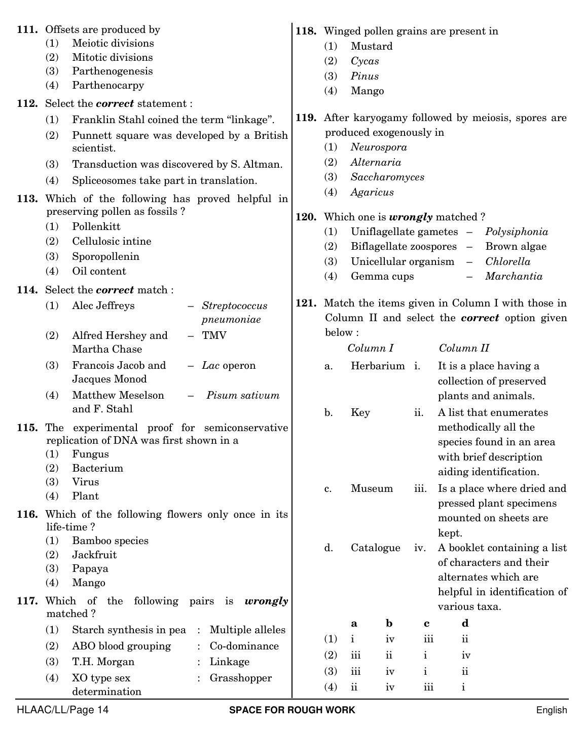 NEET English LL 2019 Question Paper - Page 14