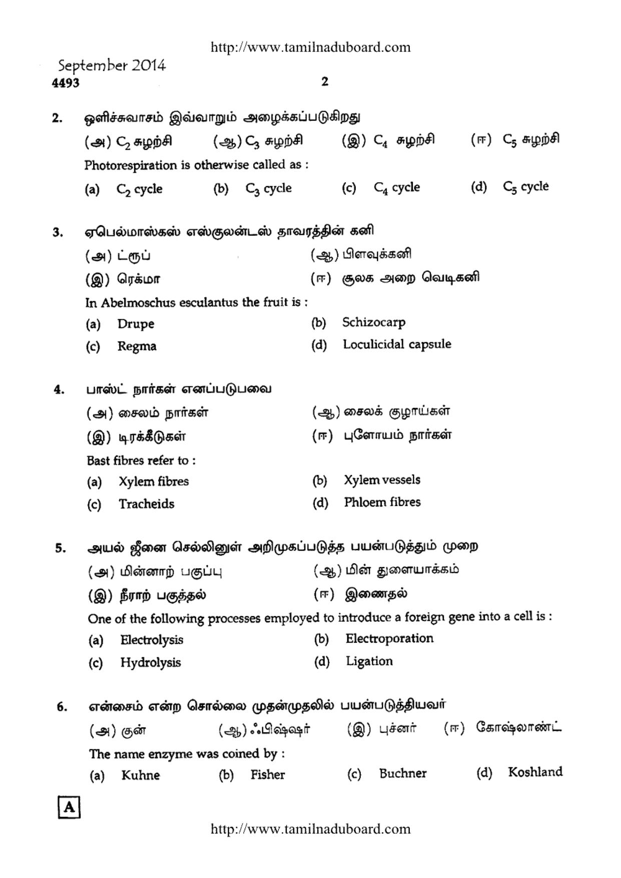 TN Class 12 Botany Question Papers 2014 - Page 2