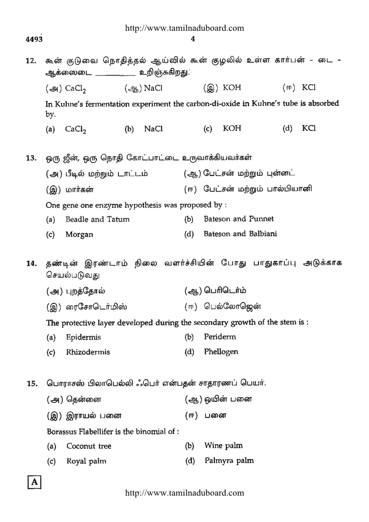 TN Class 12 Botany Question Papers 2014 - Page 4