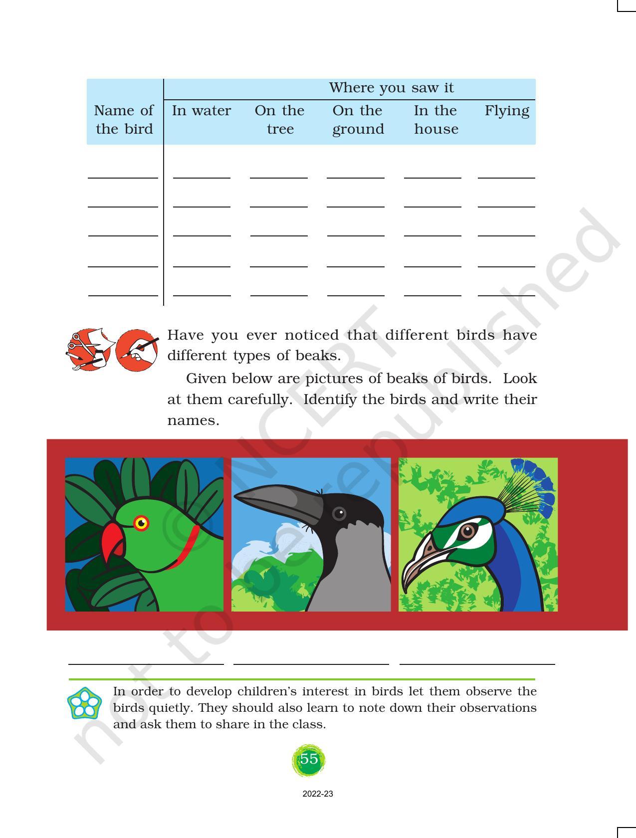 NCERT Book for Class 3 EVS Chapter 8-Flying High - Page 4