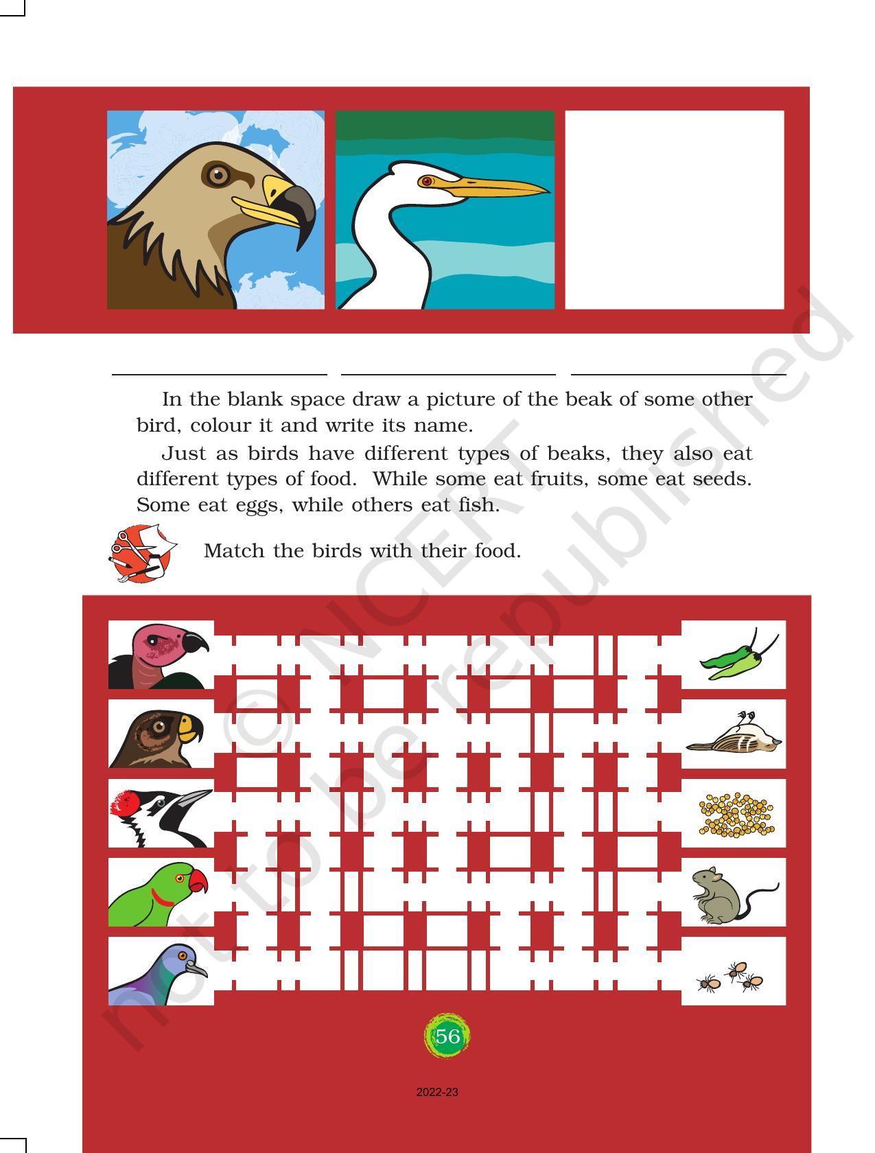 NCERT Book for Class 3 EVS Chapter 8-Flying High - Page 5