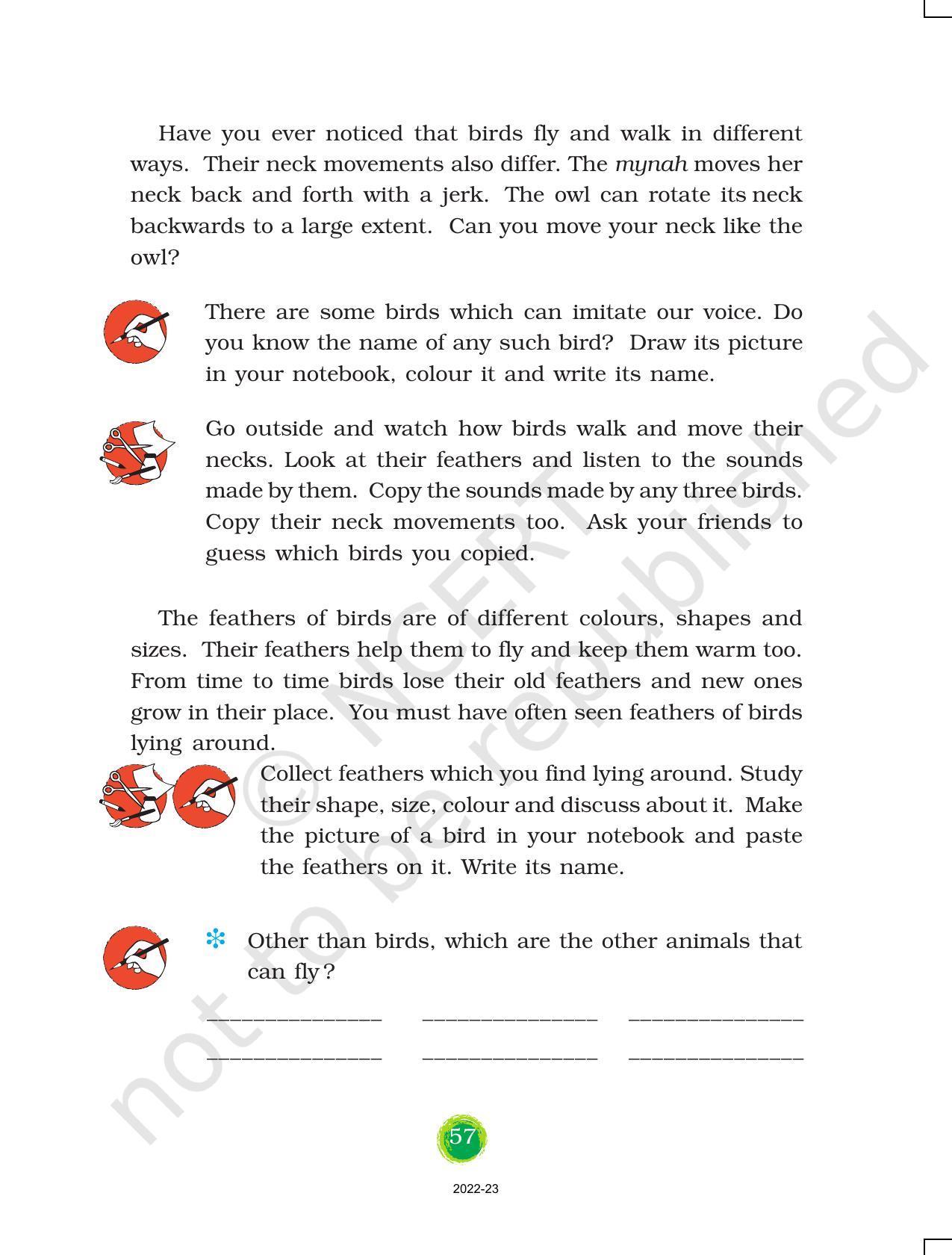NCERT Book for Class 3 EVS Chapter 8-Flying High - Page 6