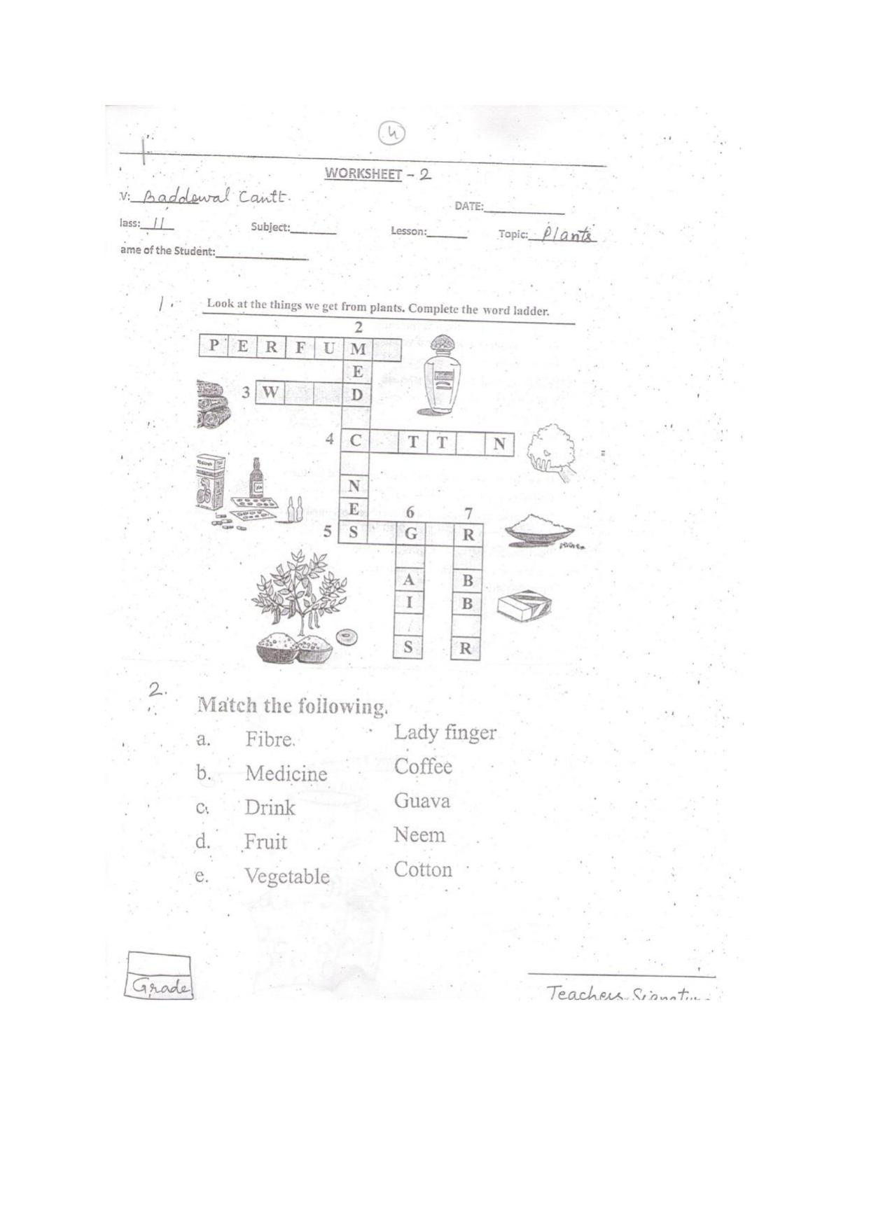 Worksheets for Class 2 EVS Assignment 18 Cleanliness - Page 6